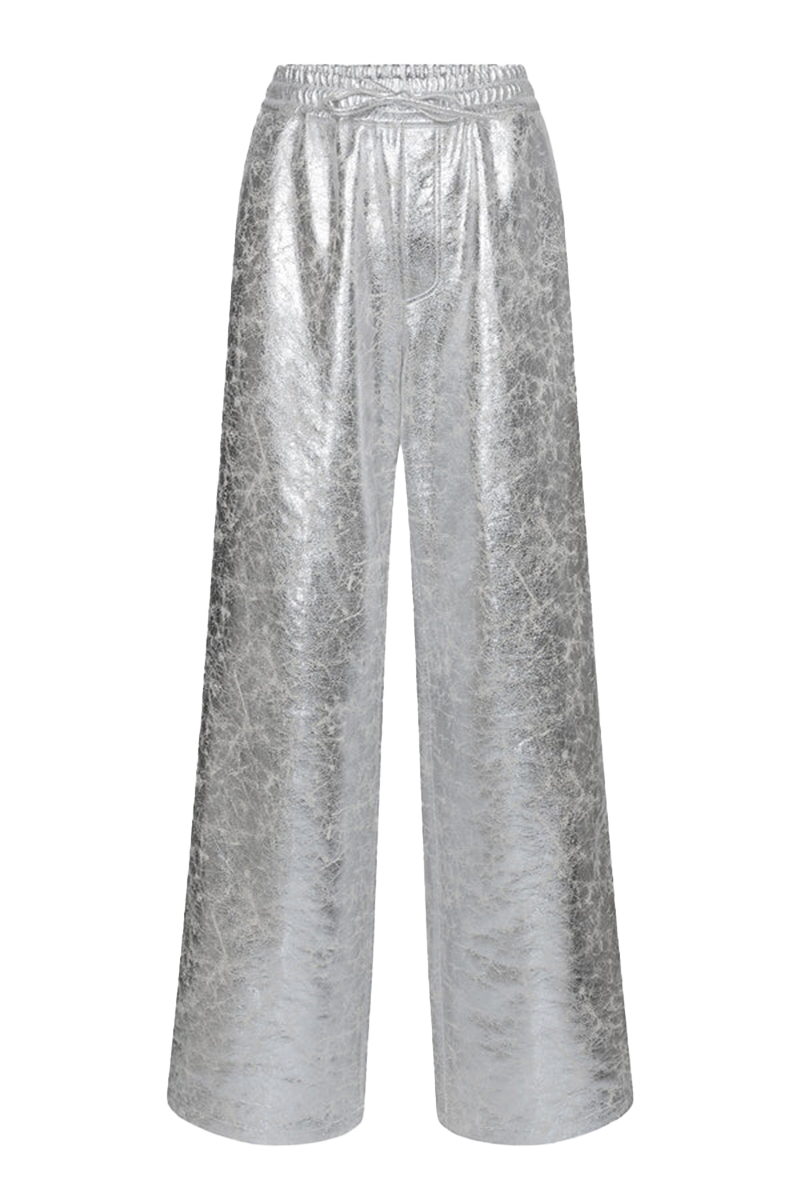Dames broek zilver