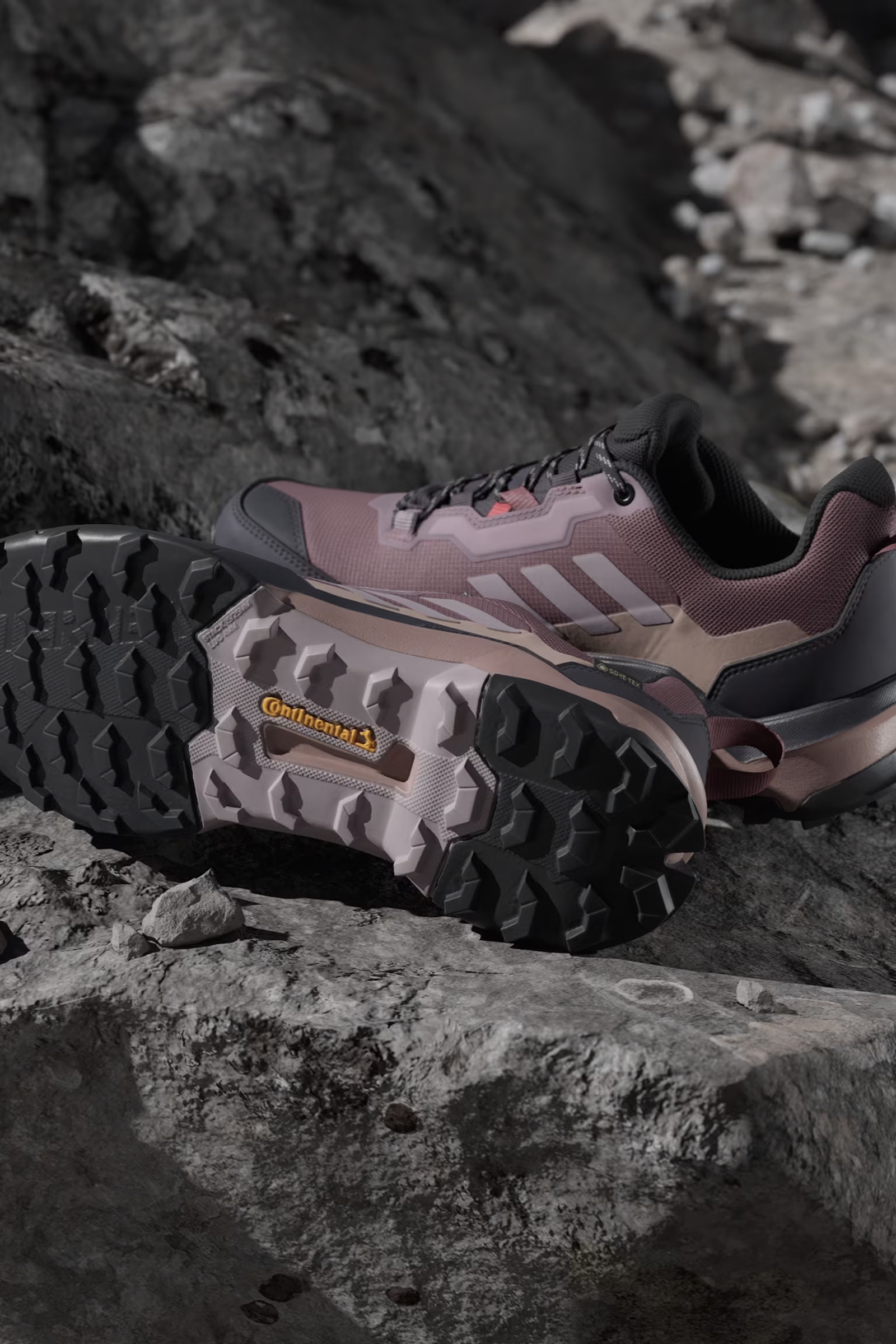 Adidas Terrex Ax4 Gtx W Bruin 3
