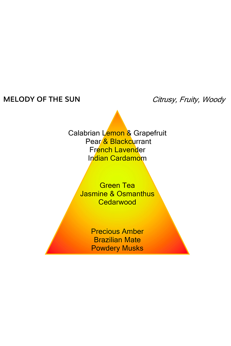 Mancera Melody of the Sun Mancera 120ml Diversen-4 6