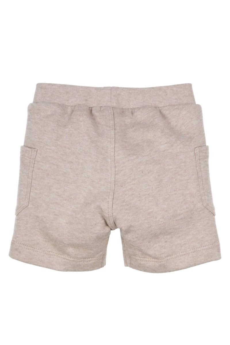 Baby short bruin