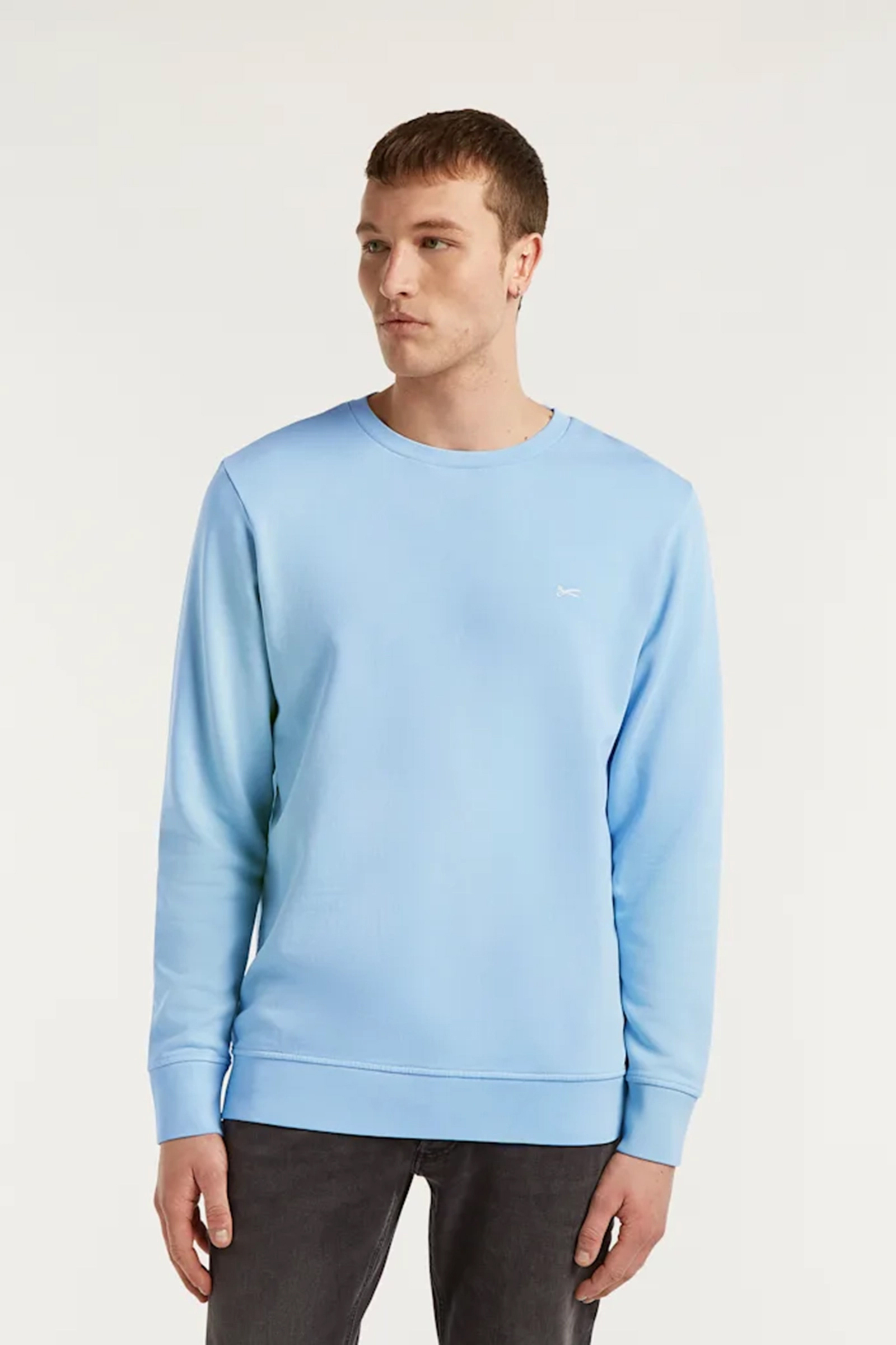 Heren trui blauw