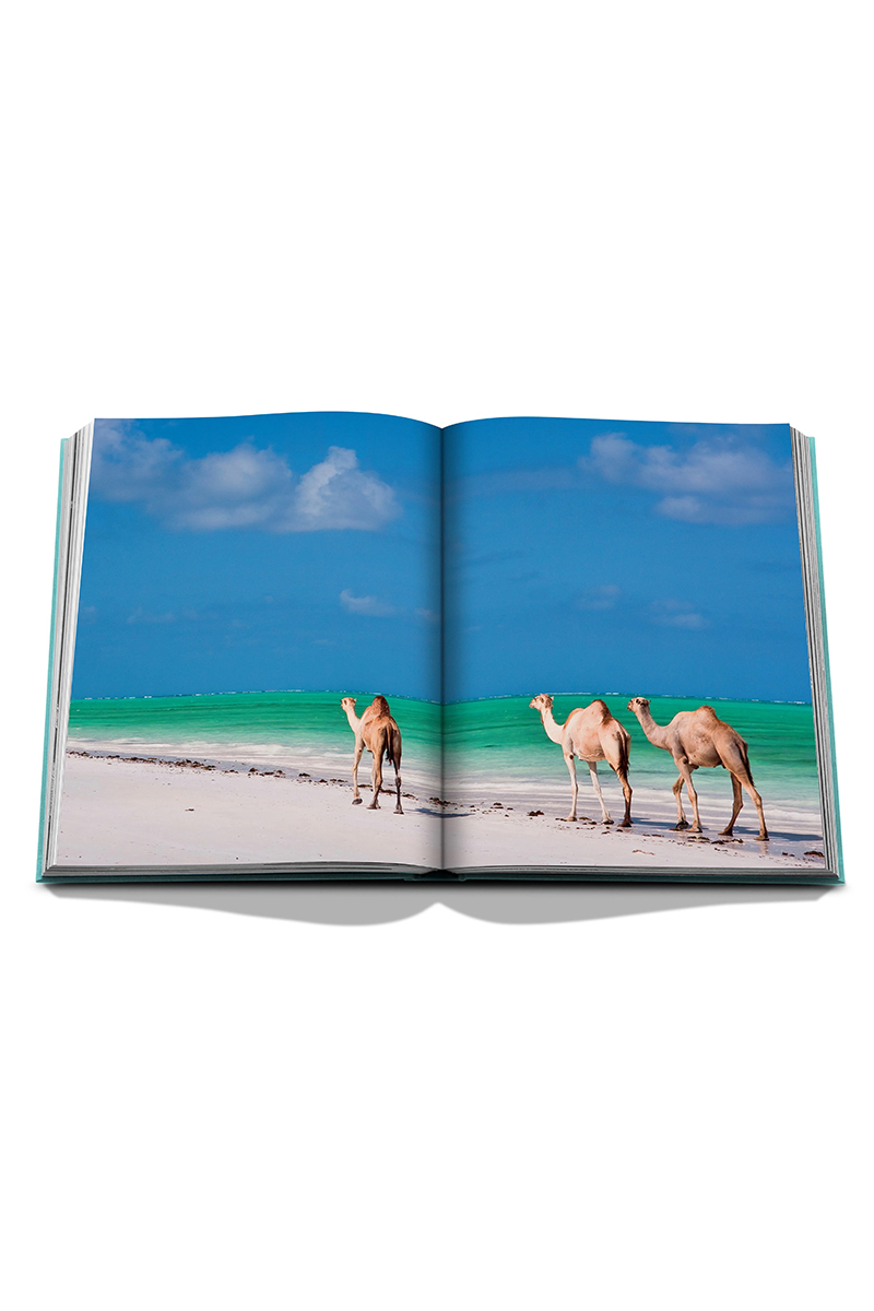 Assouline Saudi Arabia: Red Sea Diversen-4 2