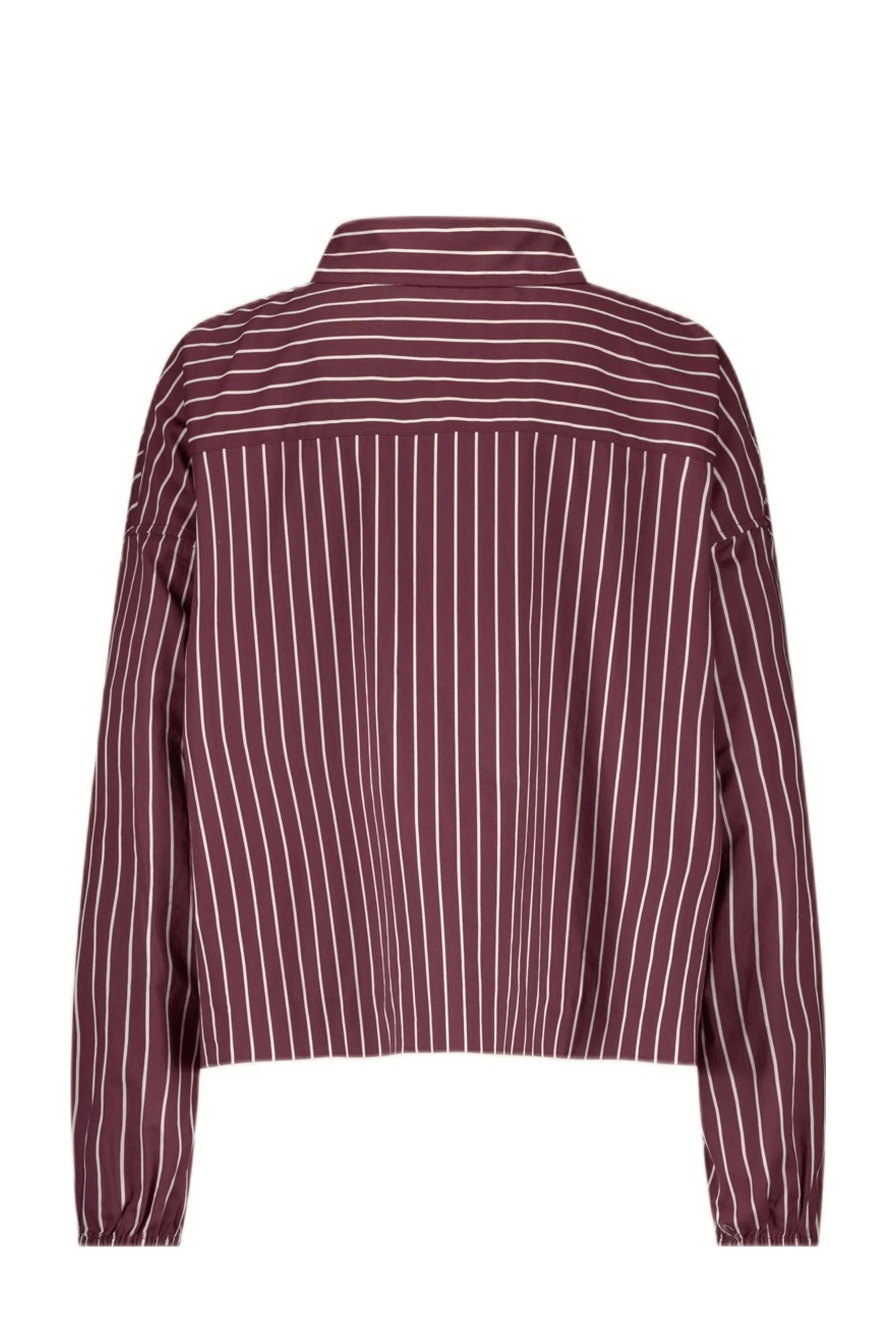 Dames blouse lange mouw paars