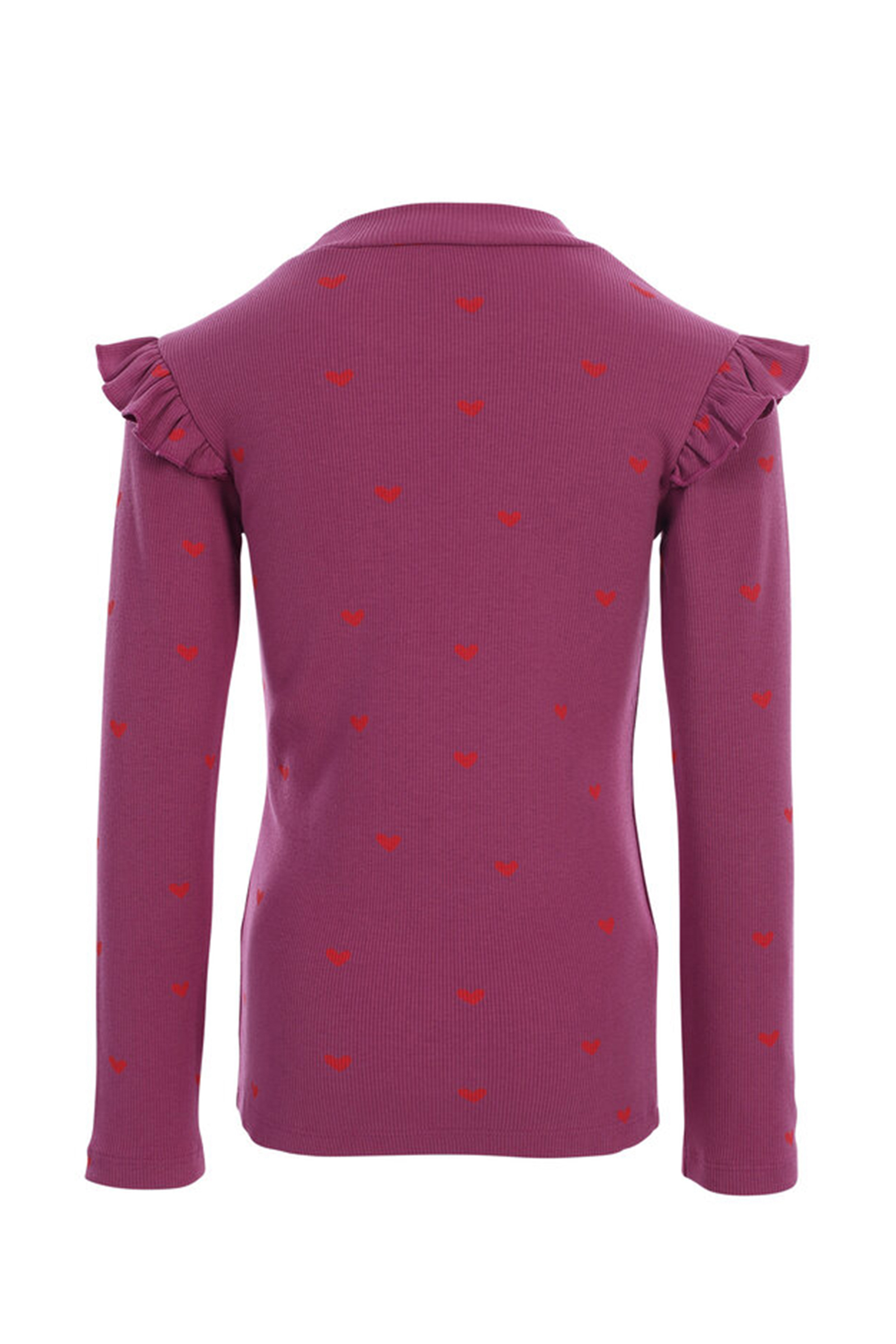 Meisjes t-shirt lange mouw paars