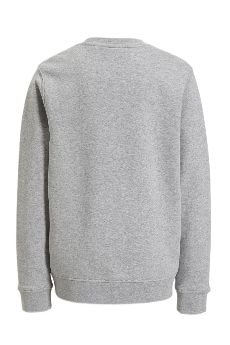 Jongens sweater grijs