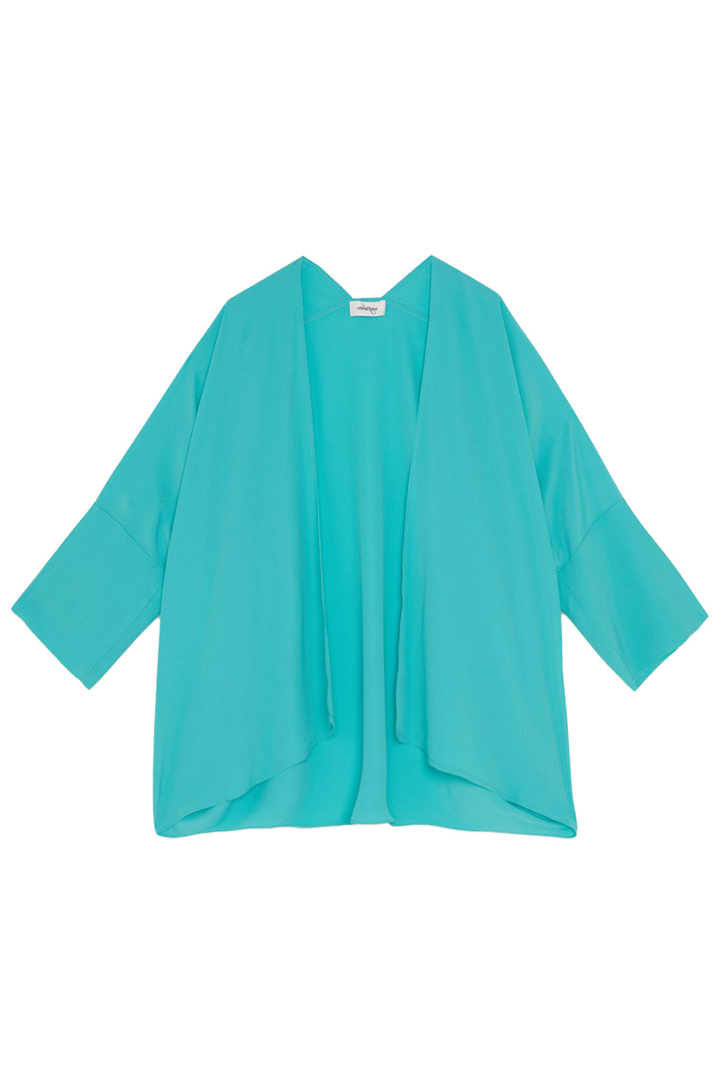 Dames blouse lange mouw blauw