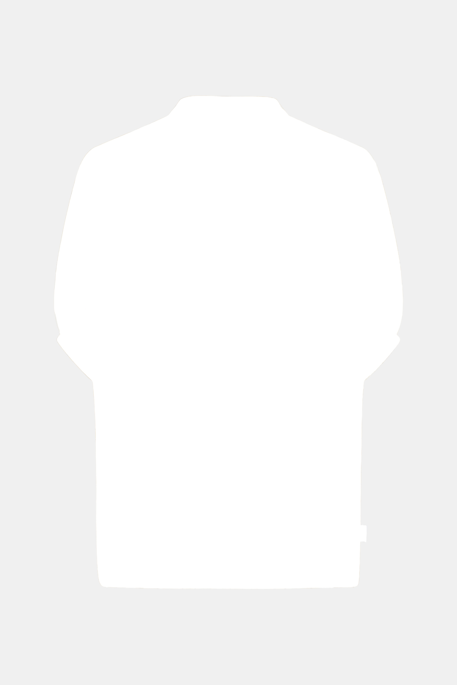 Dames blouse korte mouw bruin