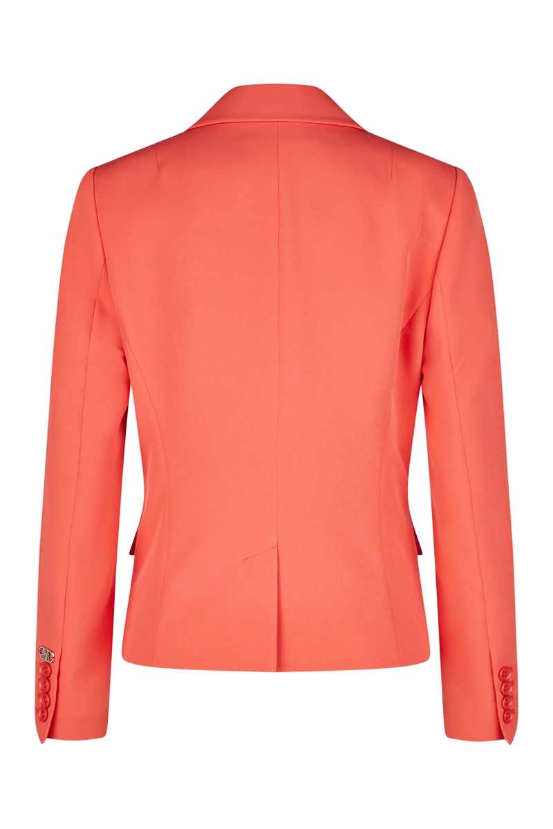 Dames blazer diversen