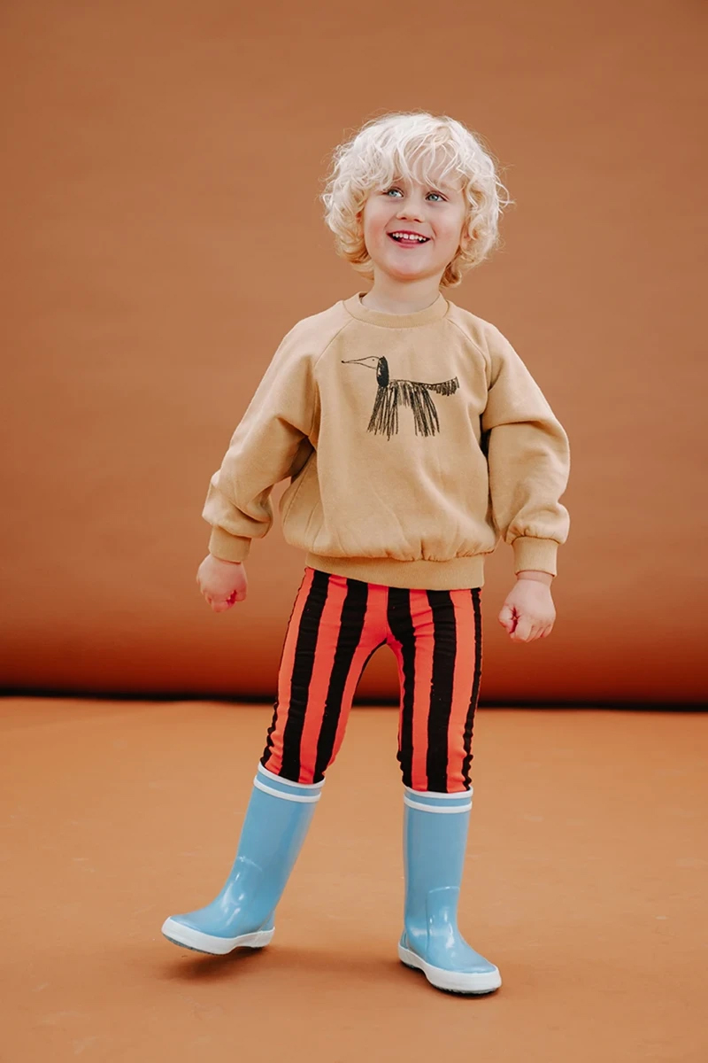 Jongens sweater bruin