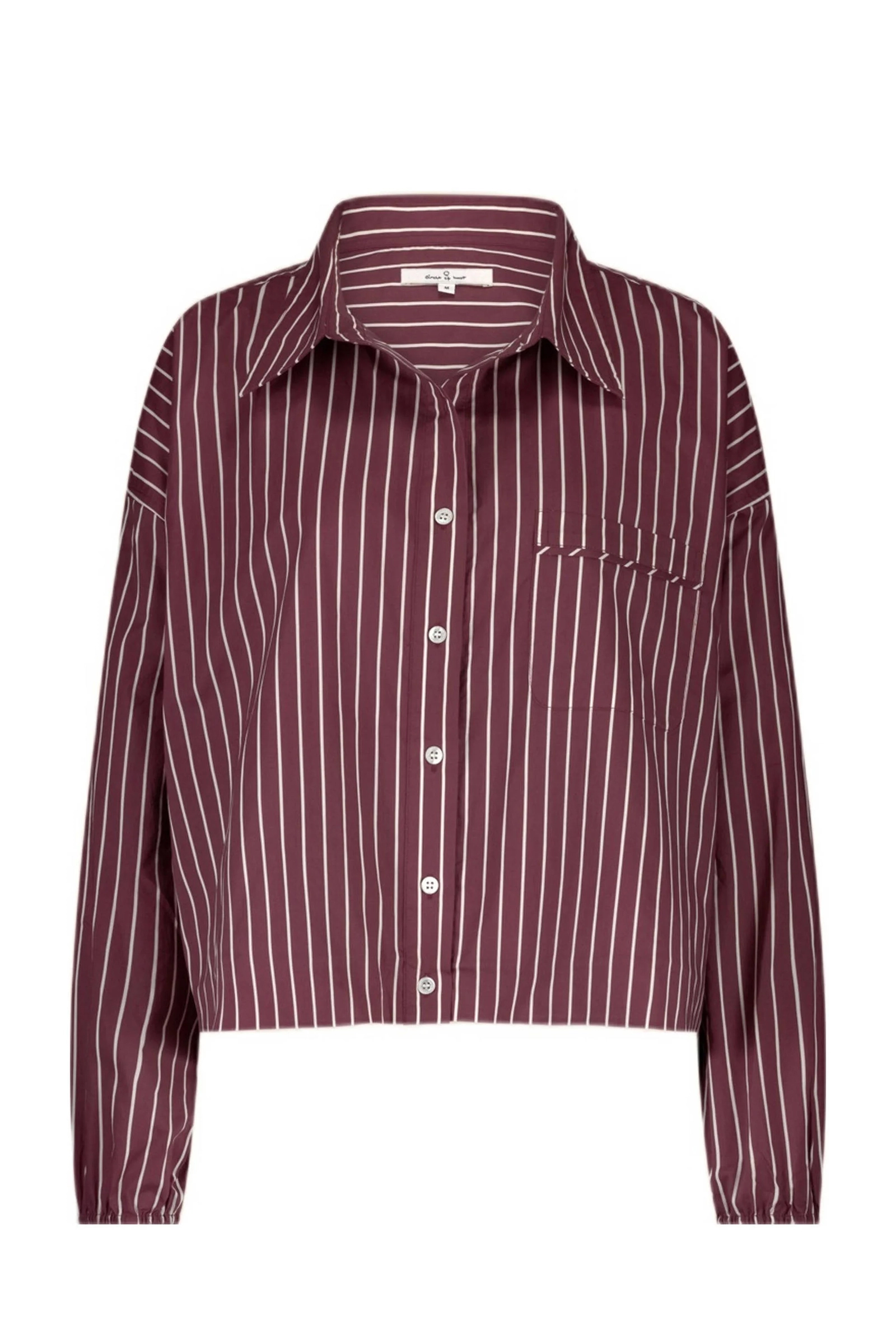 Dames blouse lange mouw paars