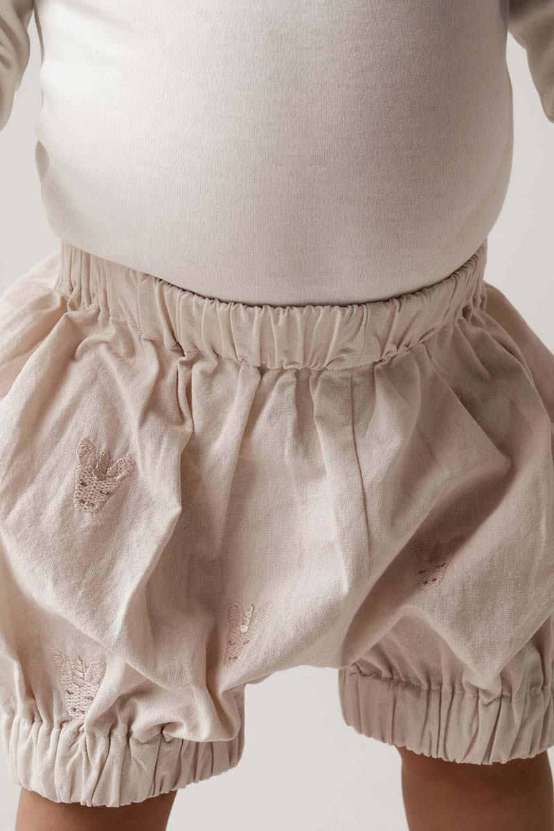 Baby short rose
