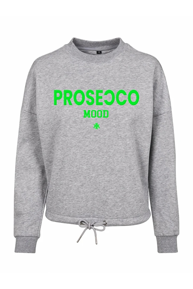 Dames sweater grijs
