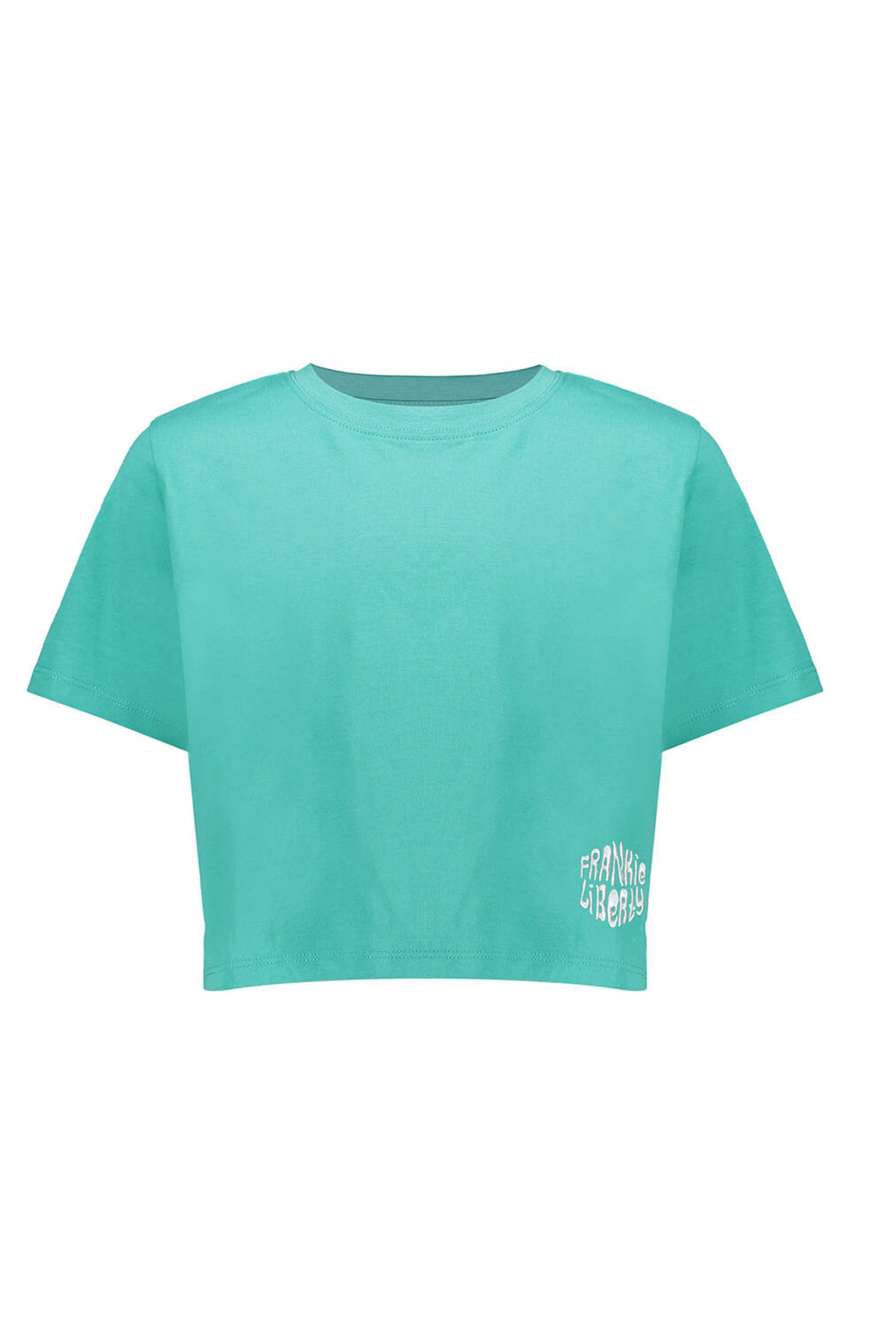 Meisjes t-shirt korte mouw groen