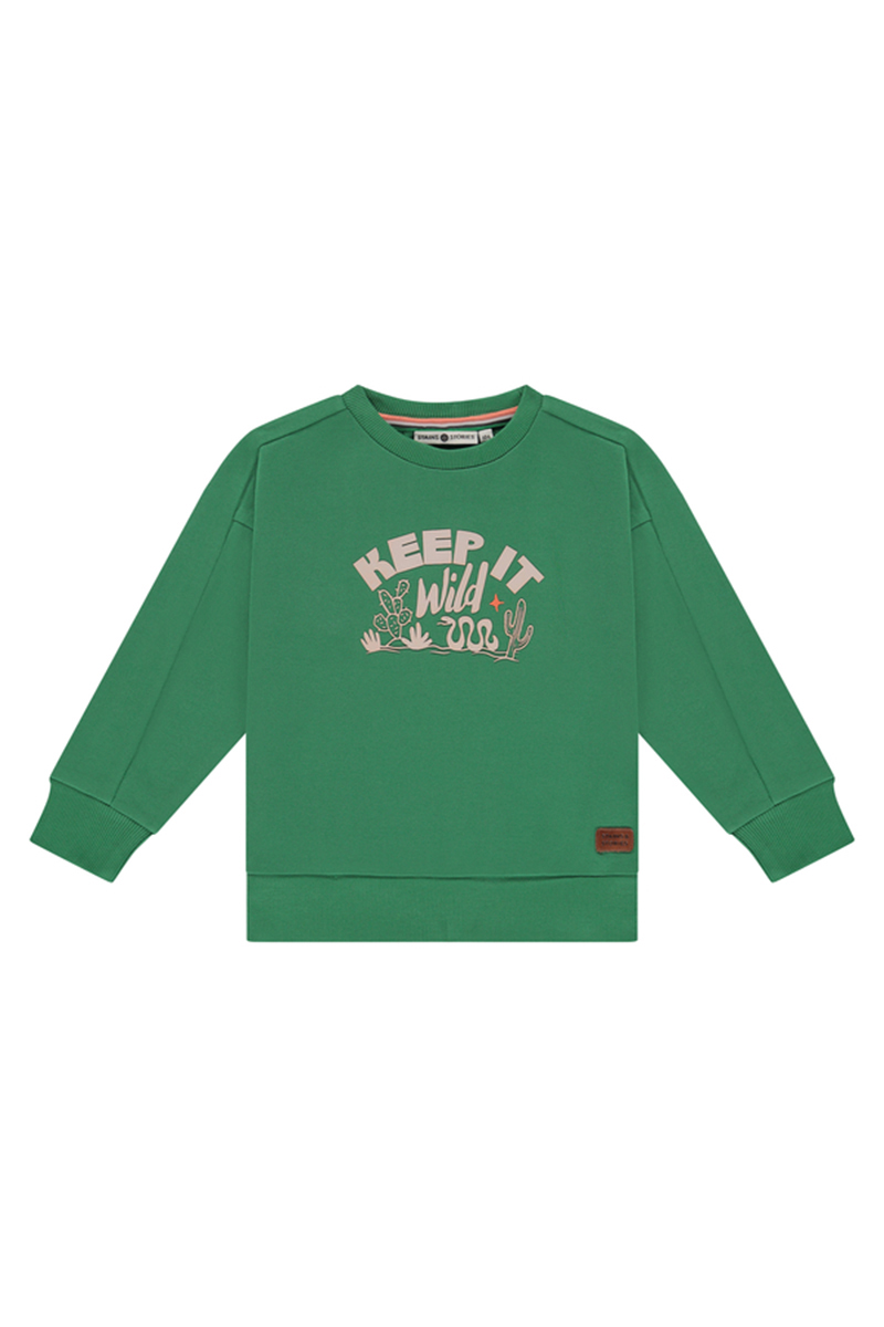 Stains and Stories Boys sweatshirt Groen-1 1