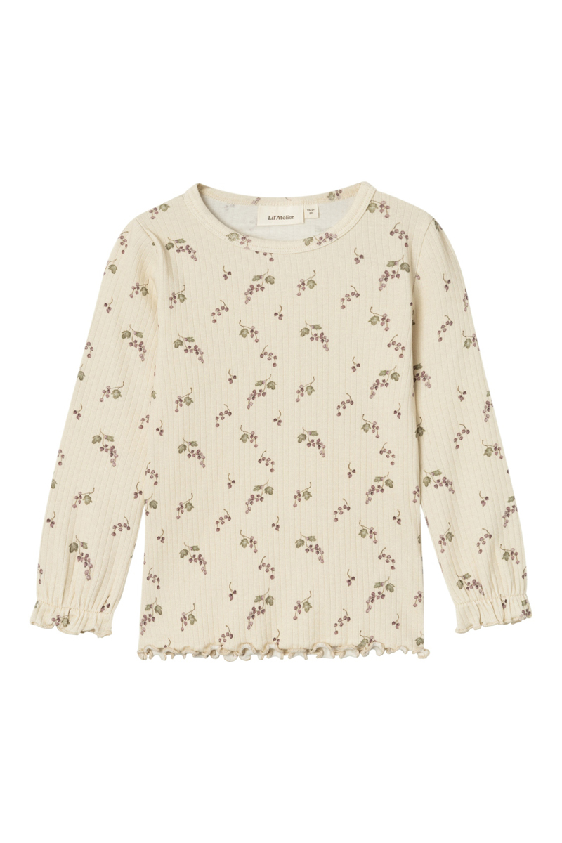 LIL' ATELIER NMFGIO BIM LS SLIM TOP LIL 190641001-Birch/BERRIES 1