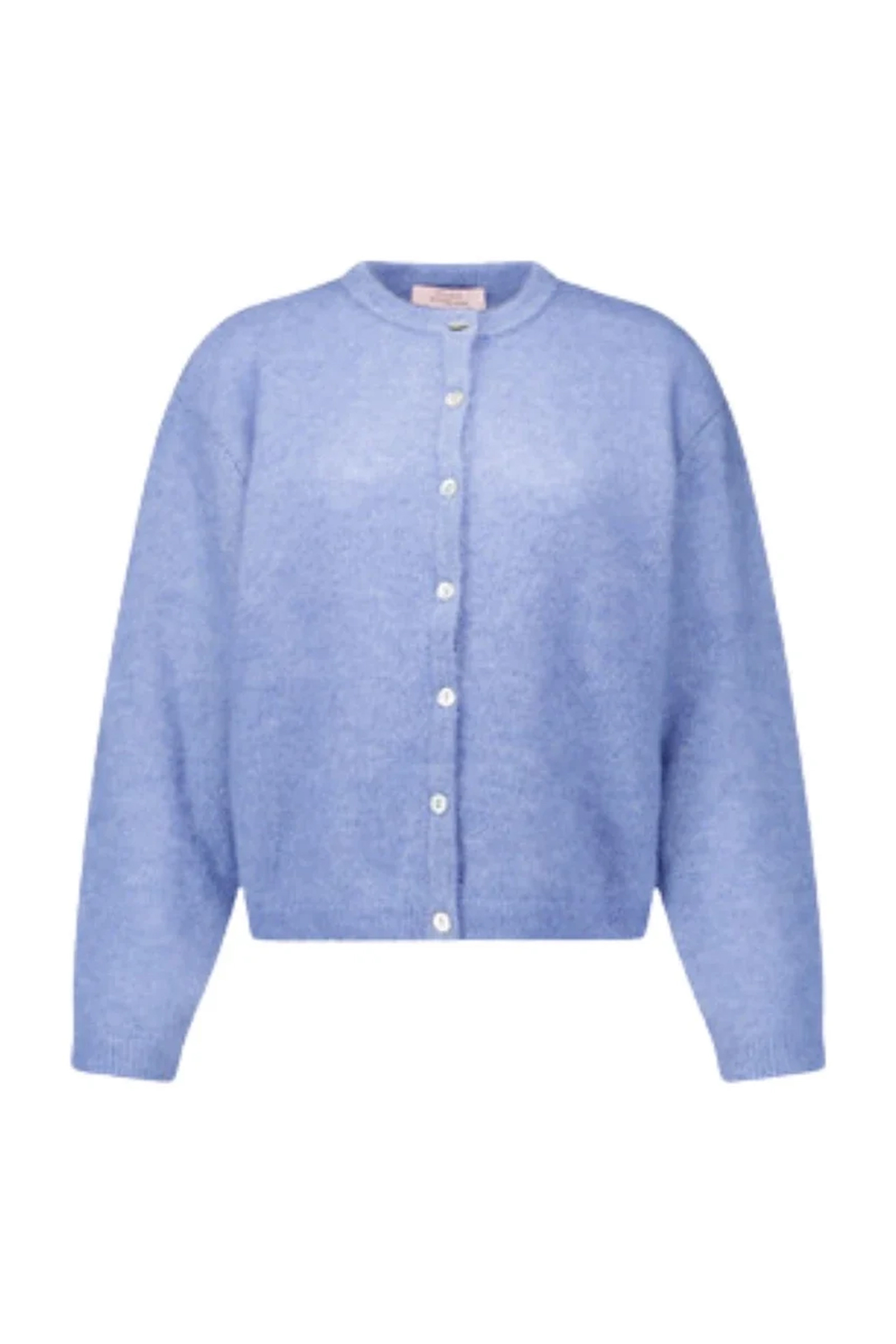 Dames vest blauw