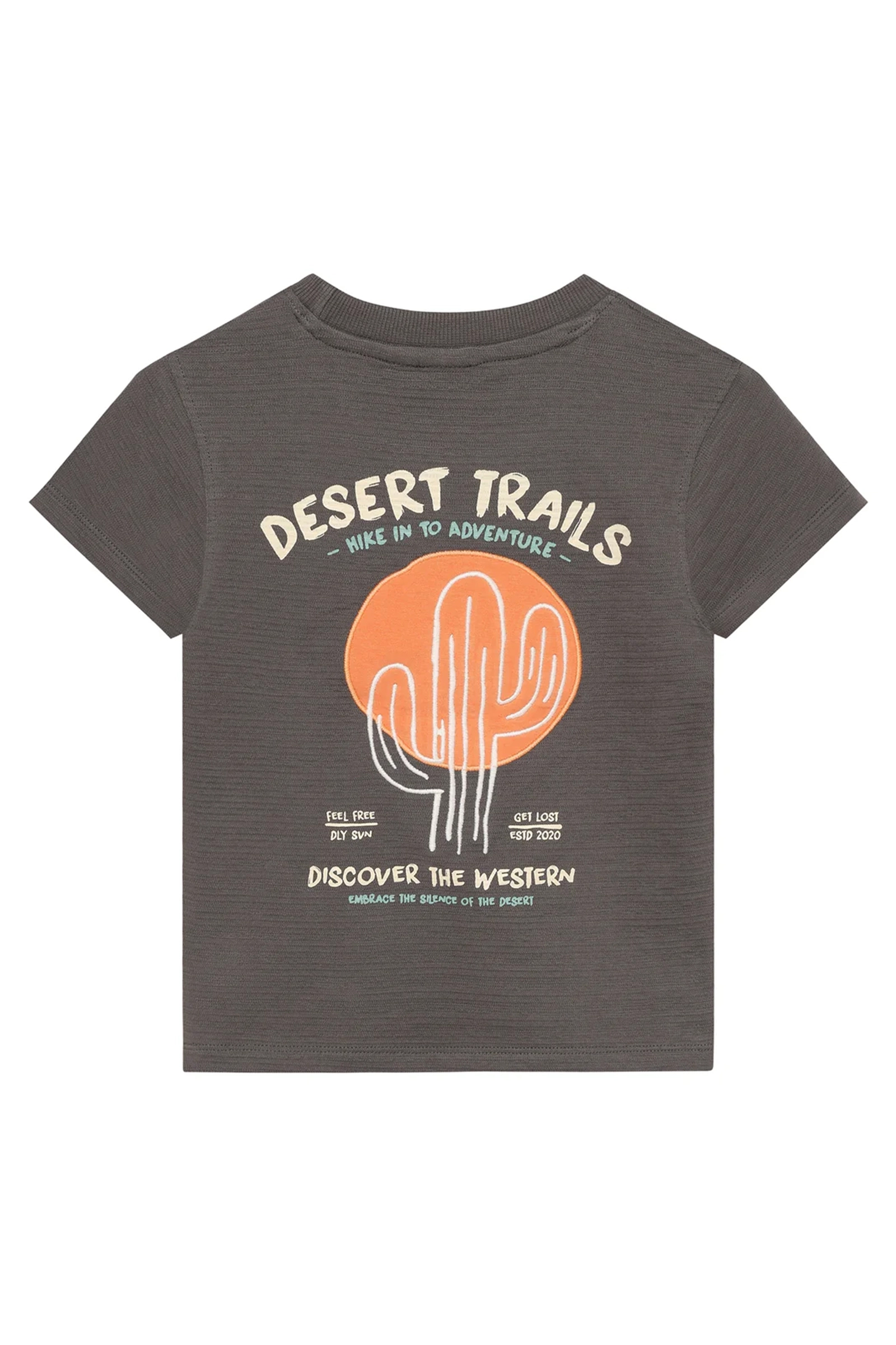 Jongens t-shirt korte mouw grijs