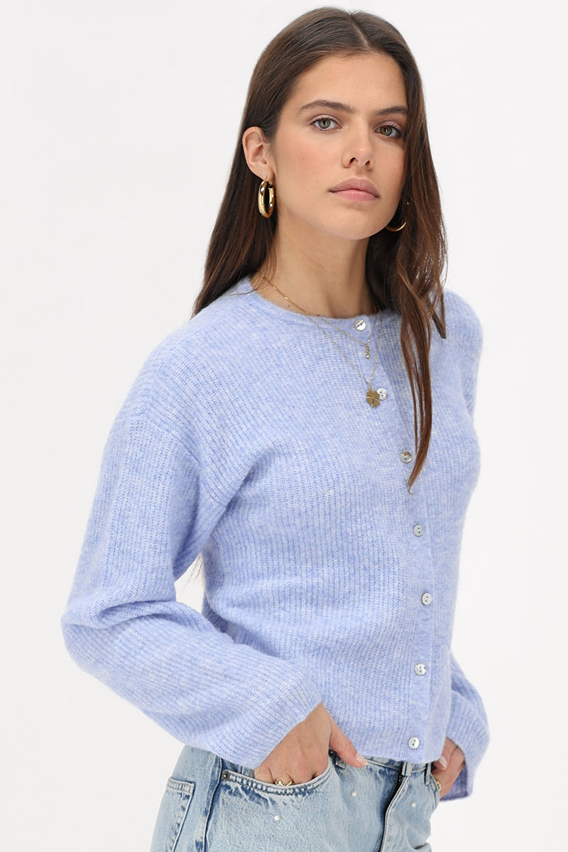 Dames vest blauw