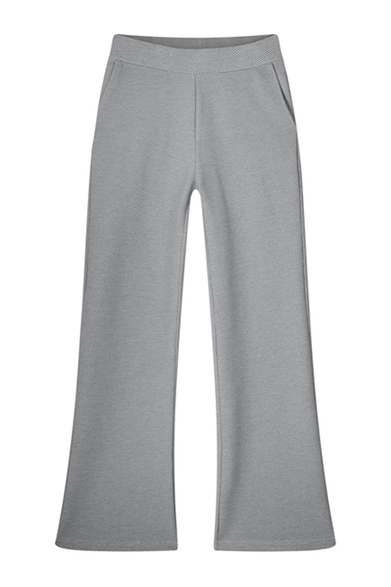 Dames broek grijs