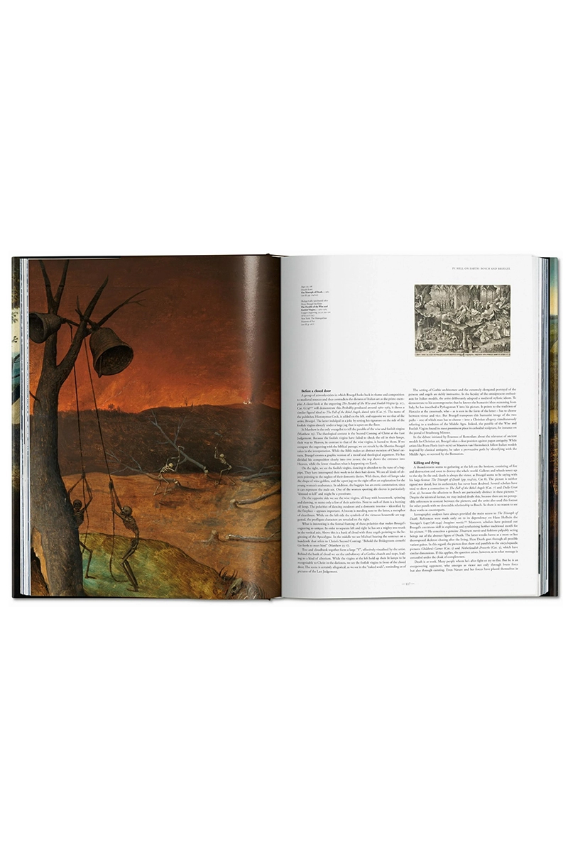 Taschen Pieter Breugel. The complete works Diversen-4 4