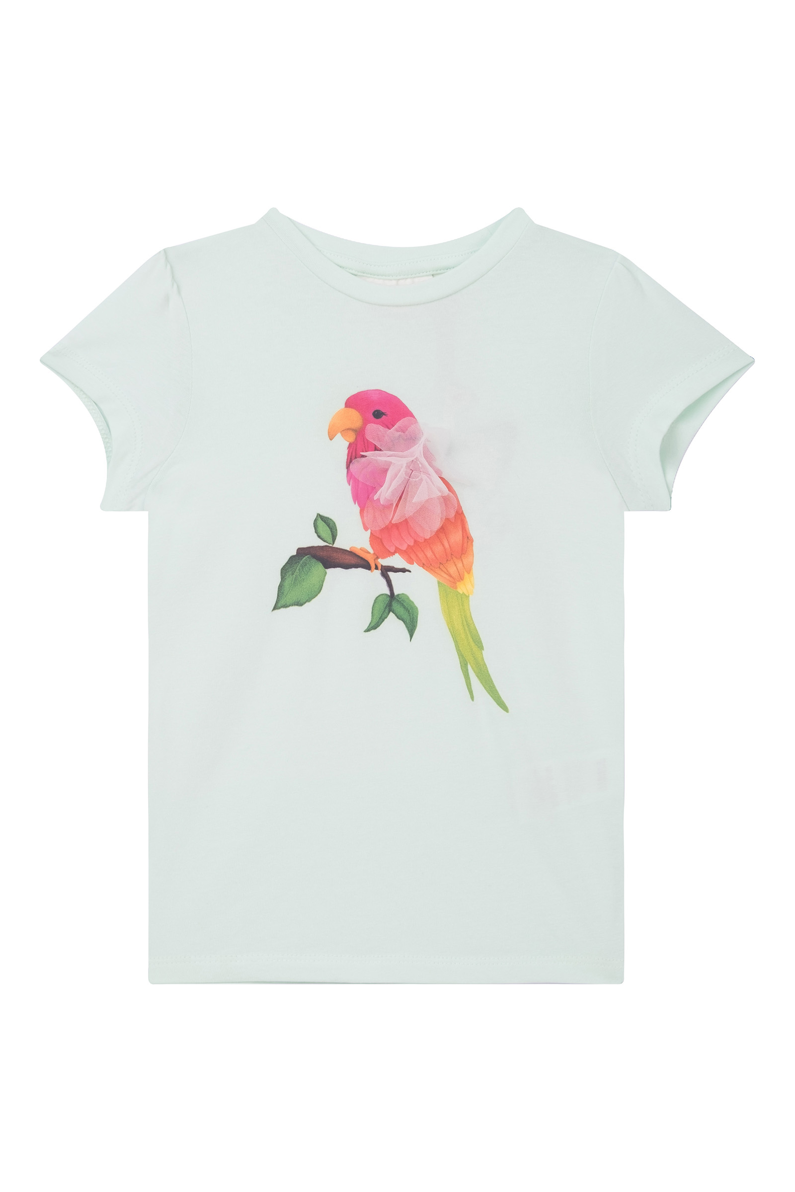 Meisjes t-shirt korte mouw groen