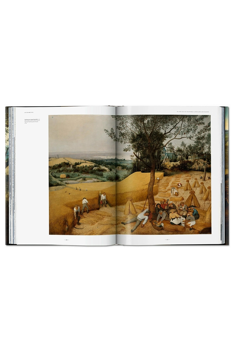 Taschen Pieter Breugel. The complete works Diversen-4 6
