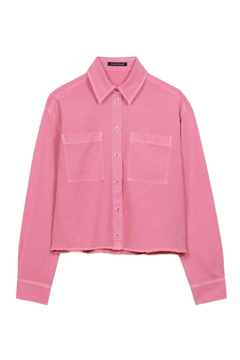 Dames blouse lange mouw diversen