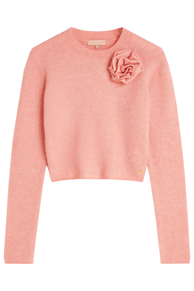 Dames trui rose