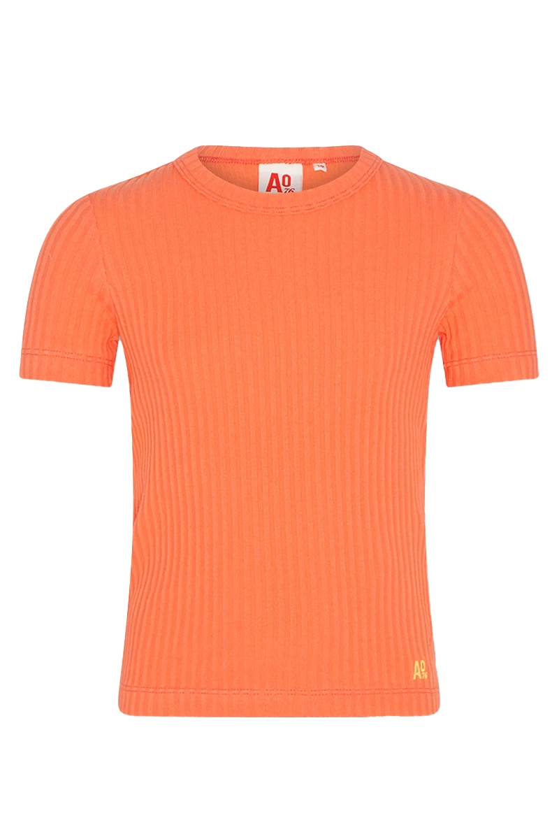 AO76 Emi Oranje-1 1