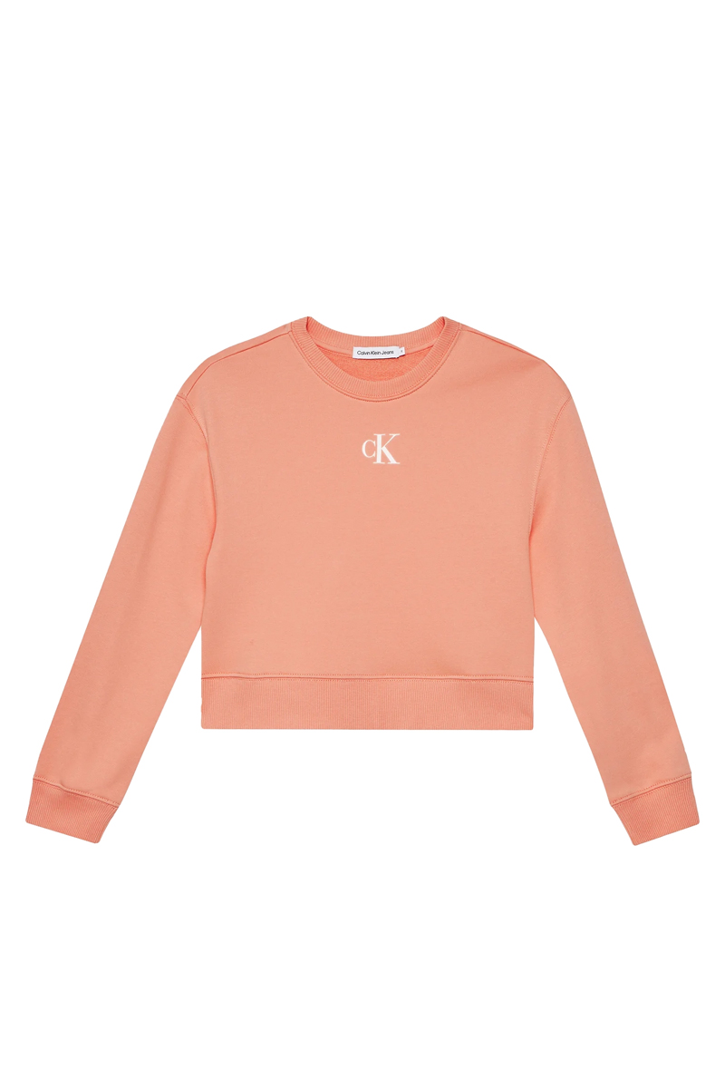 Calvin Klein Ck logo cn sweatshirt Oranje-1 1