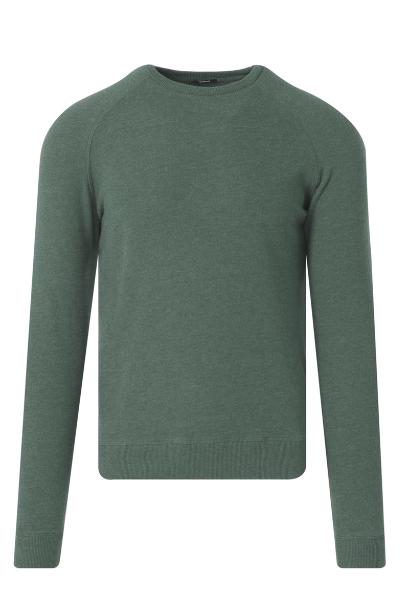 Heren trui groen