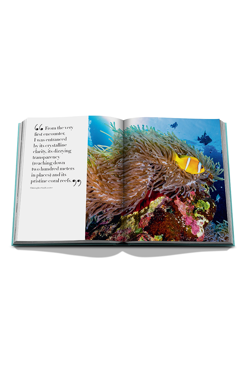 Assouline Saudi Arabia: Red Sea Diversen-4 5