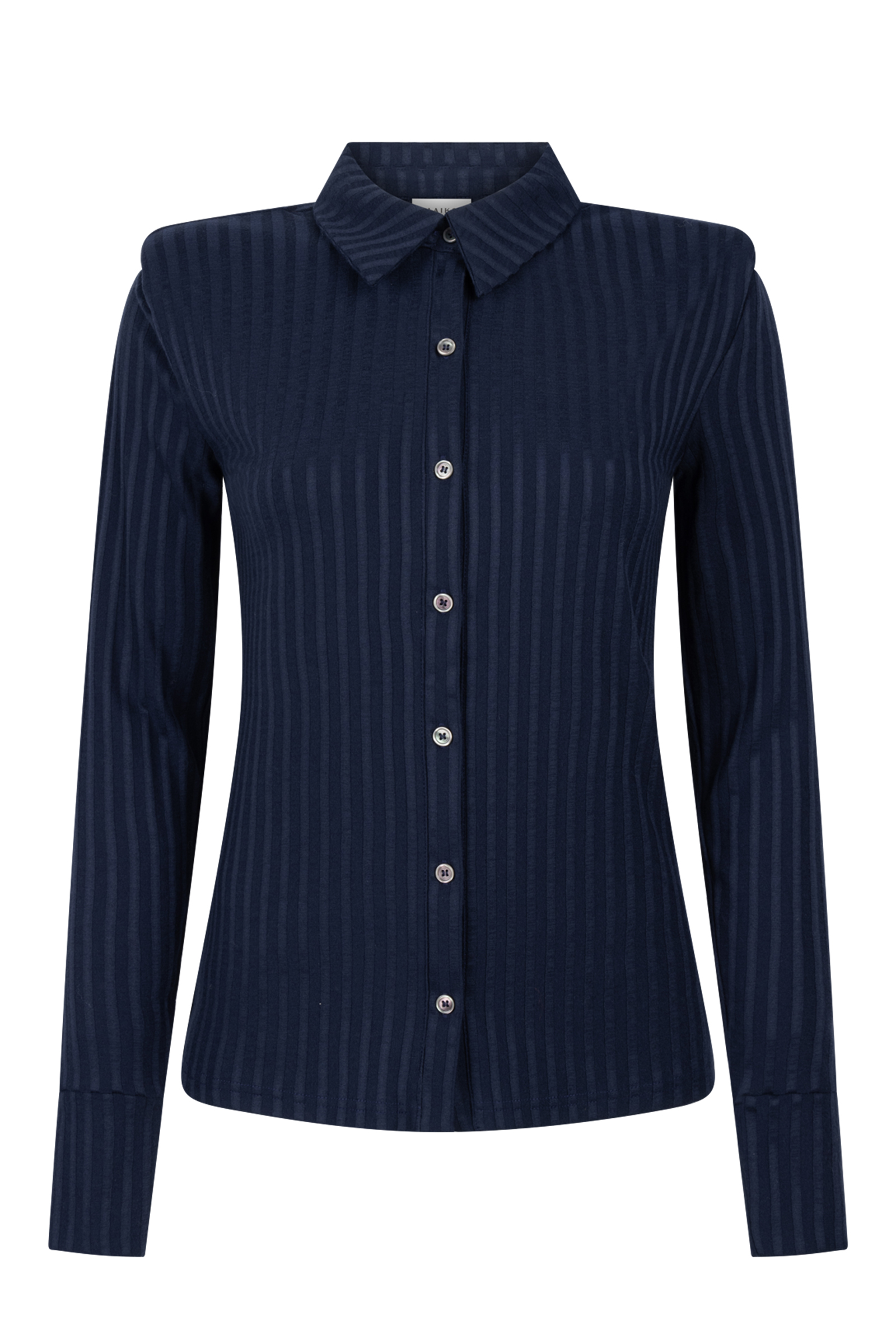 Dames blouse lange mouw blauw