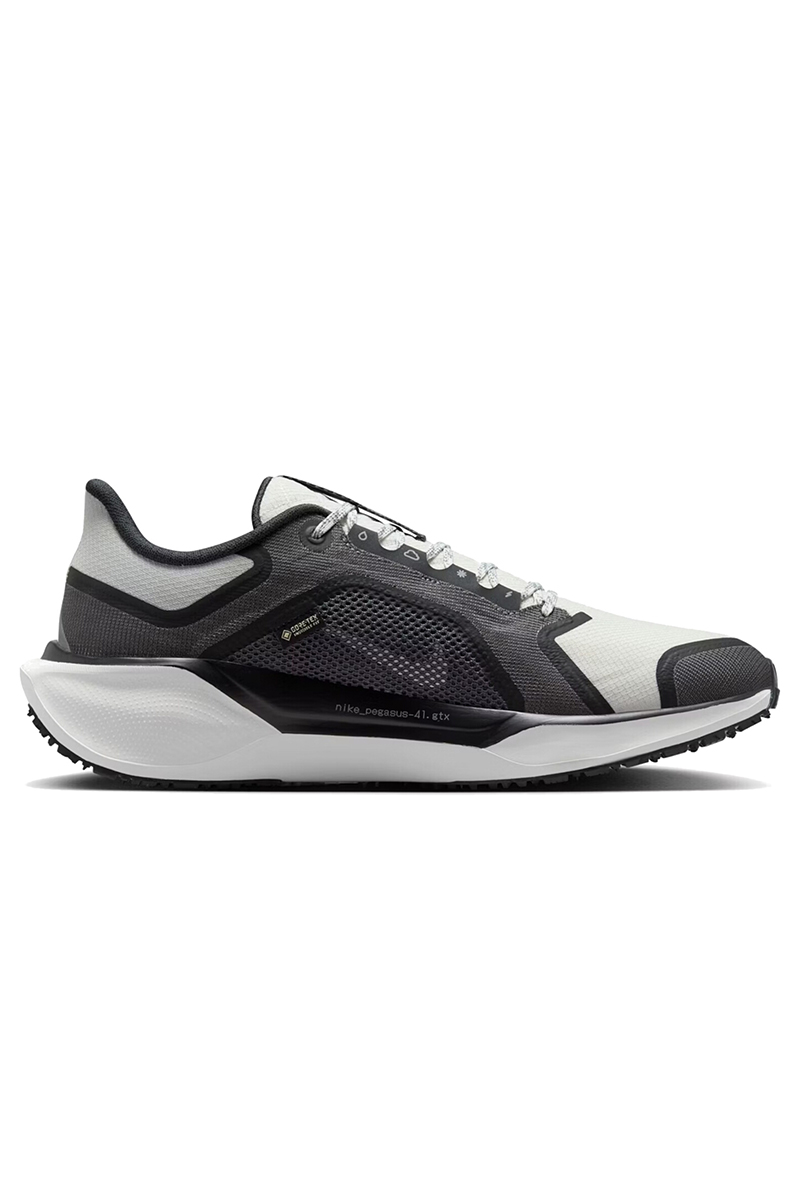 Nike Nike Pegasus 41 Gore-tex Women's Wa Zwart 1