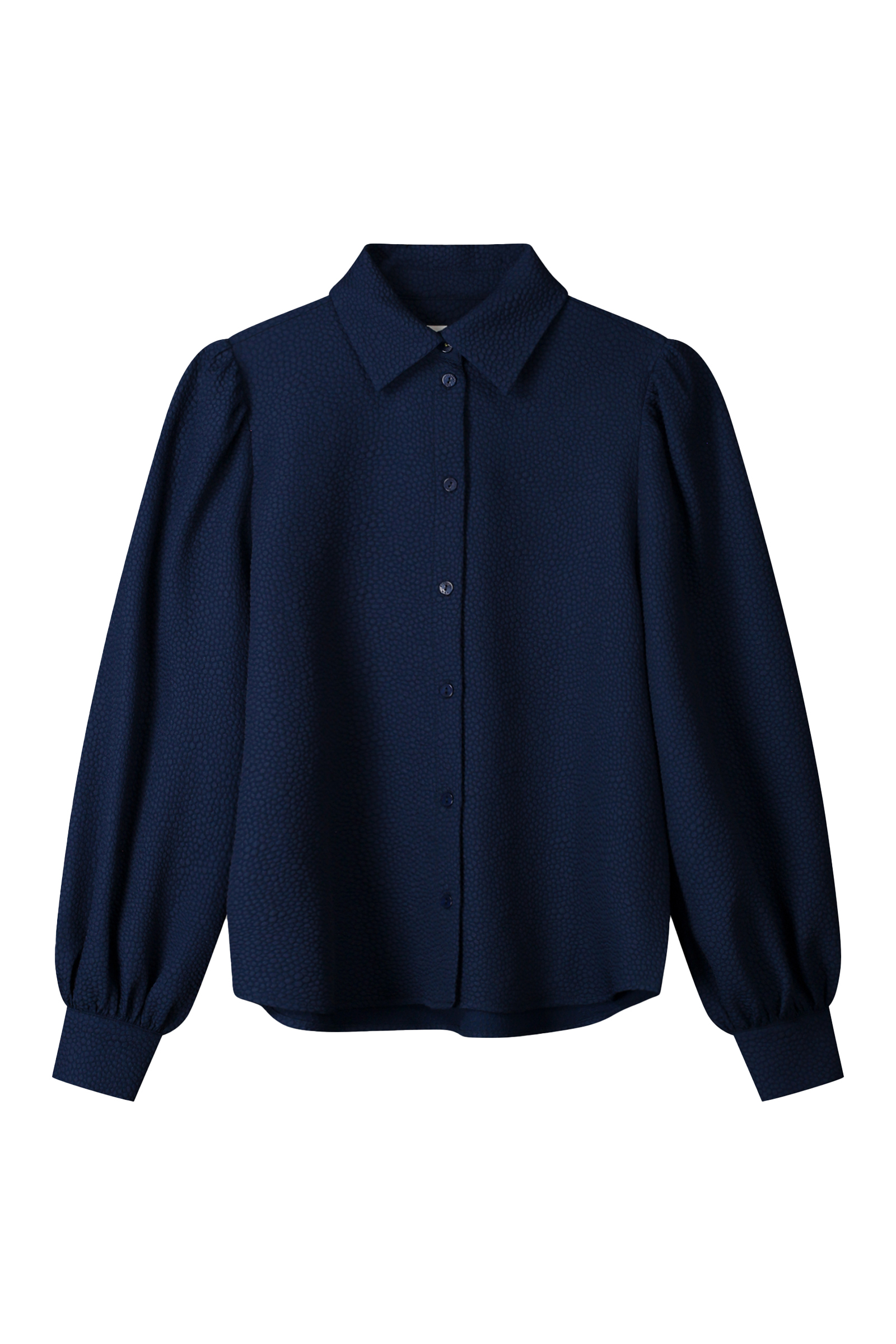 Dames blouse lange mouw blauw