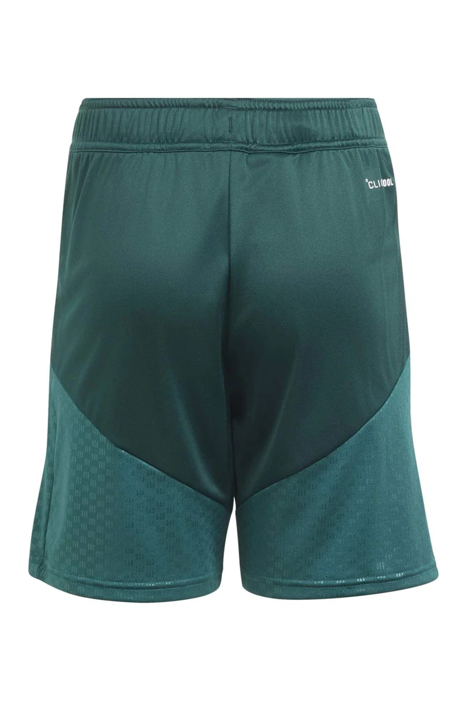 Voetbal heren short groen
