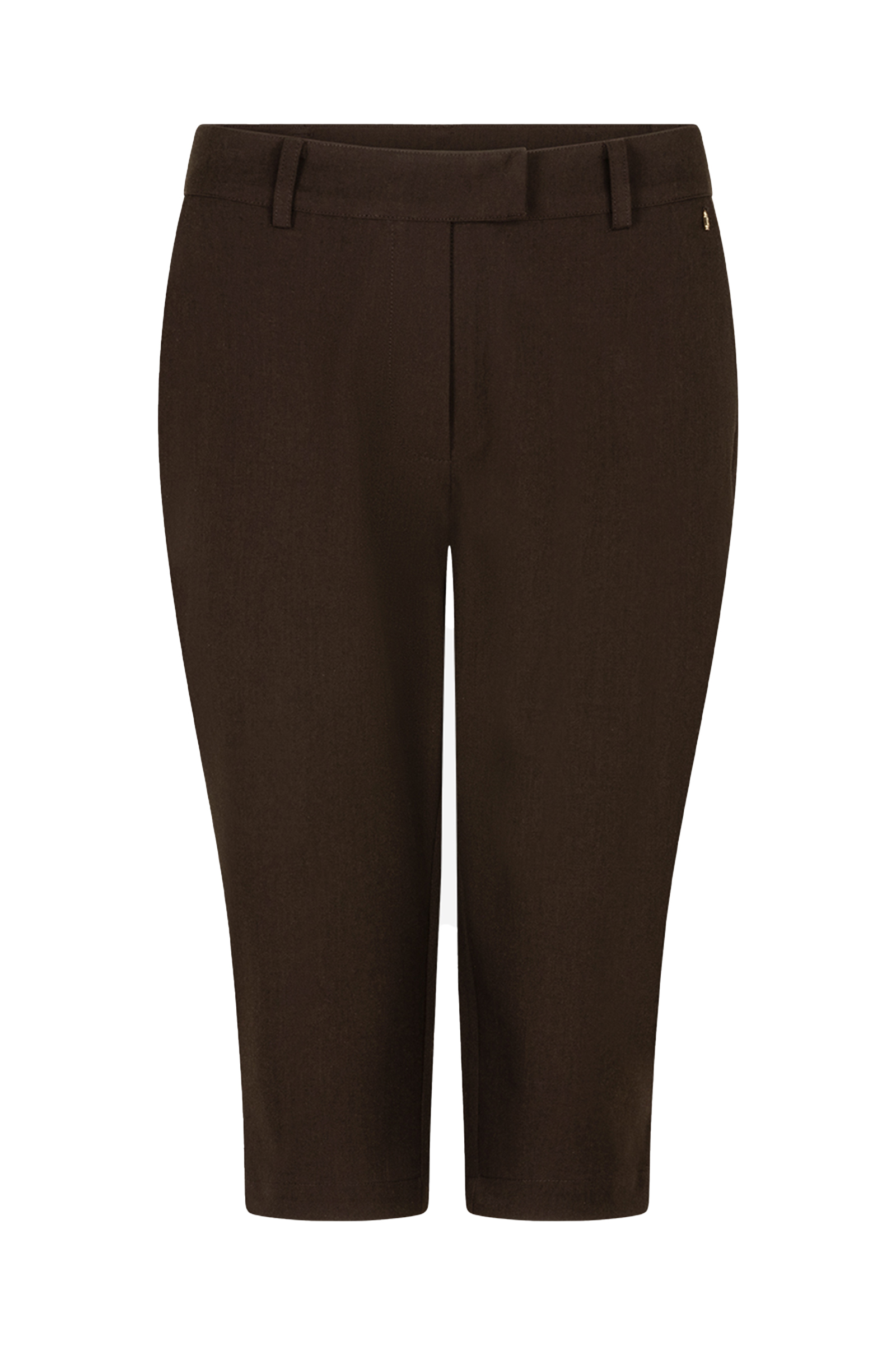 Dames broek bruin