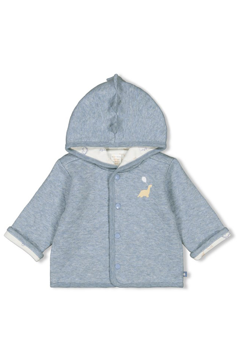 Baby jas blauw