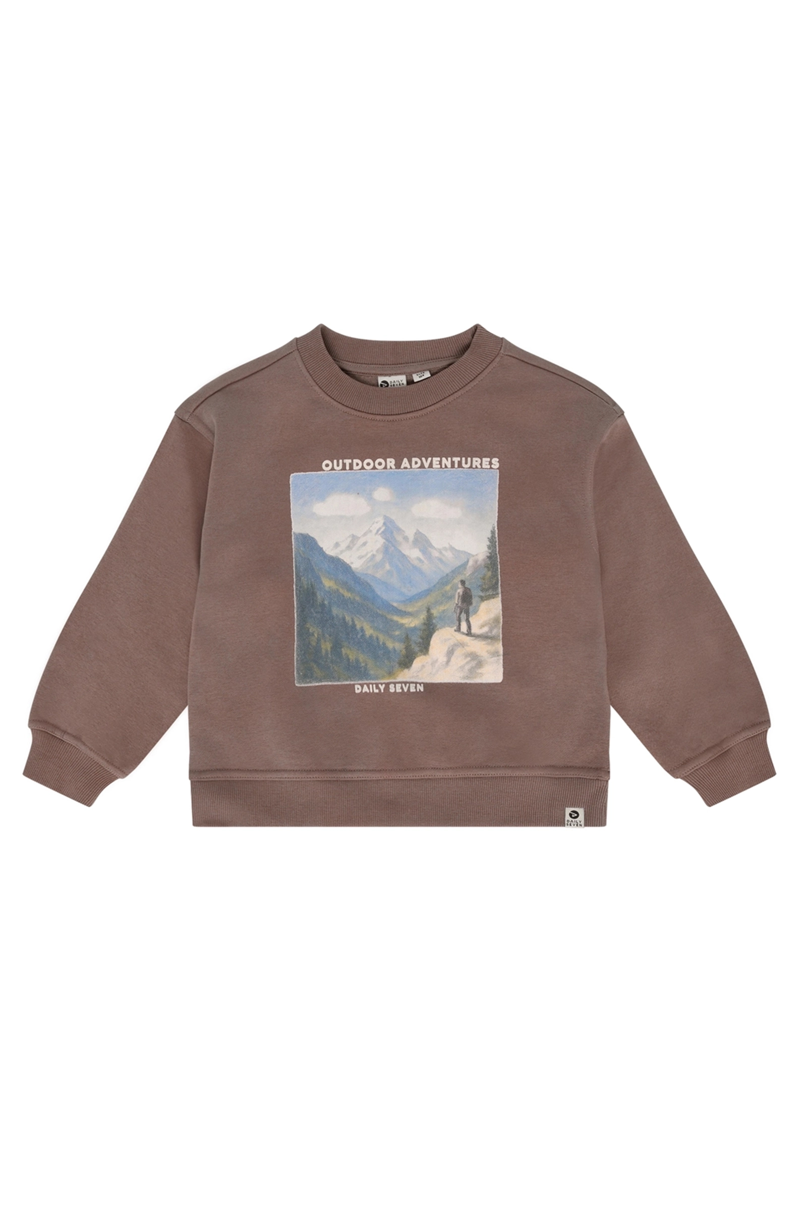 Jongens sweater bruin