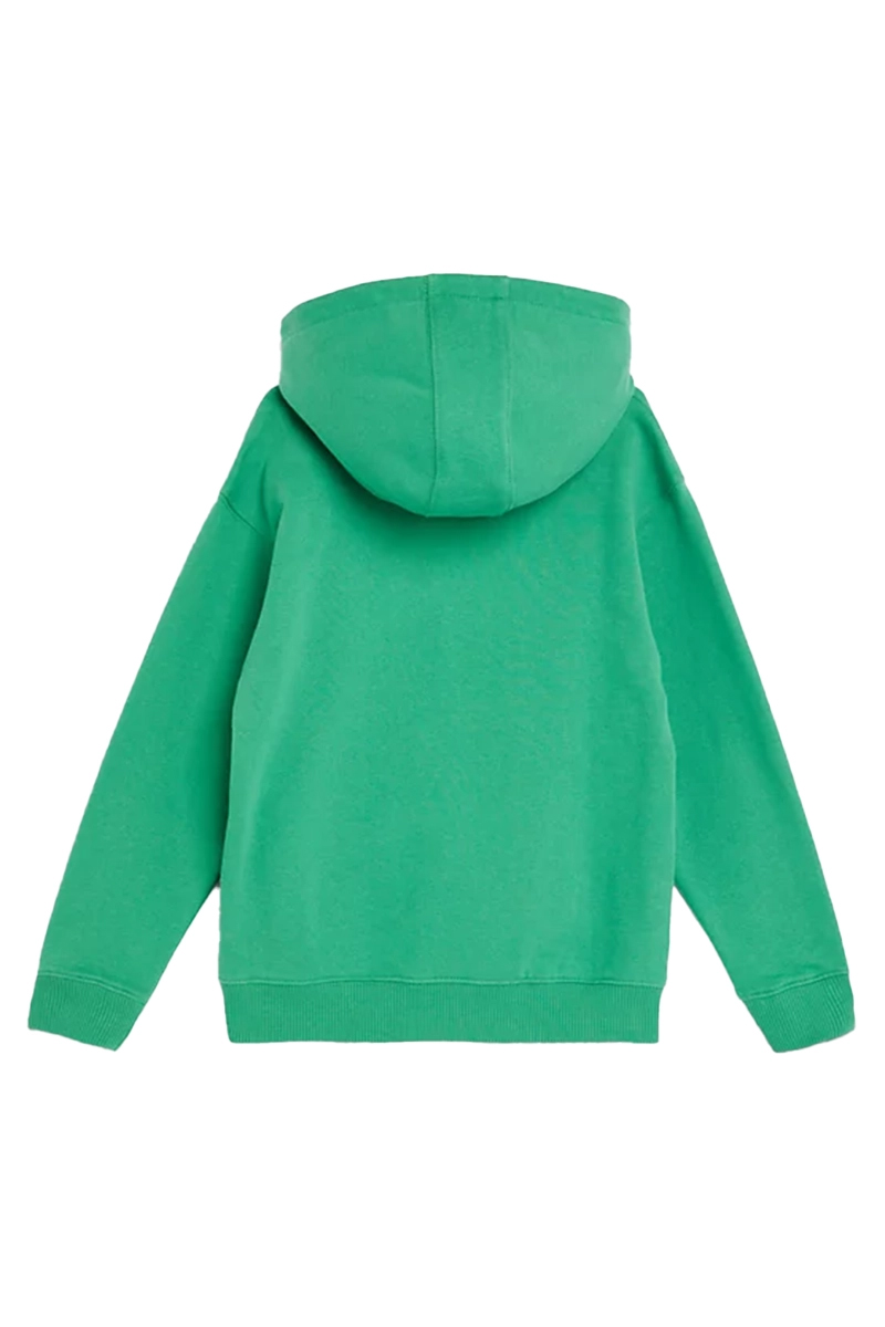 Tommy Hilfiger hilfiger arched hoodie Groen-1 3