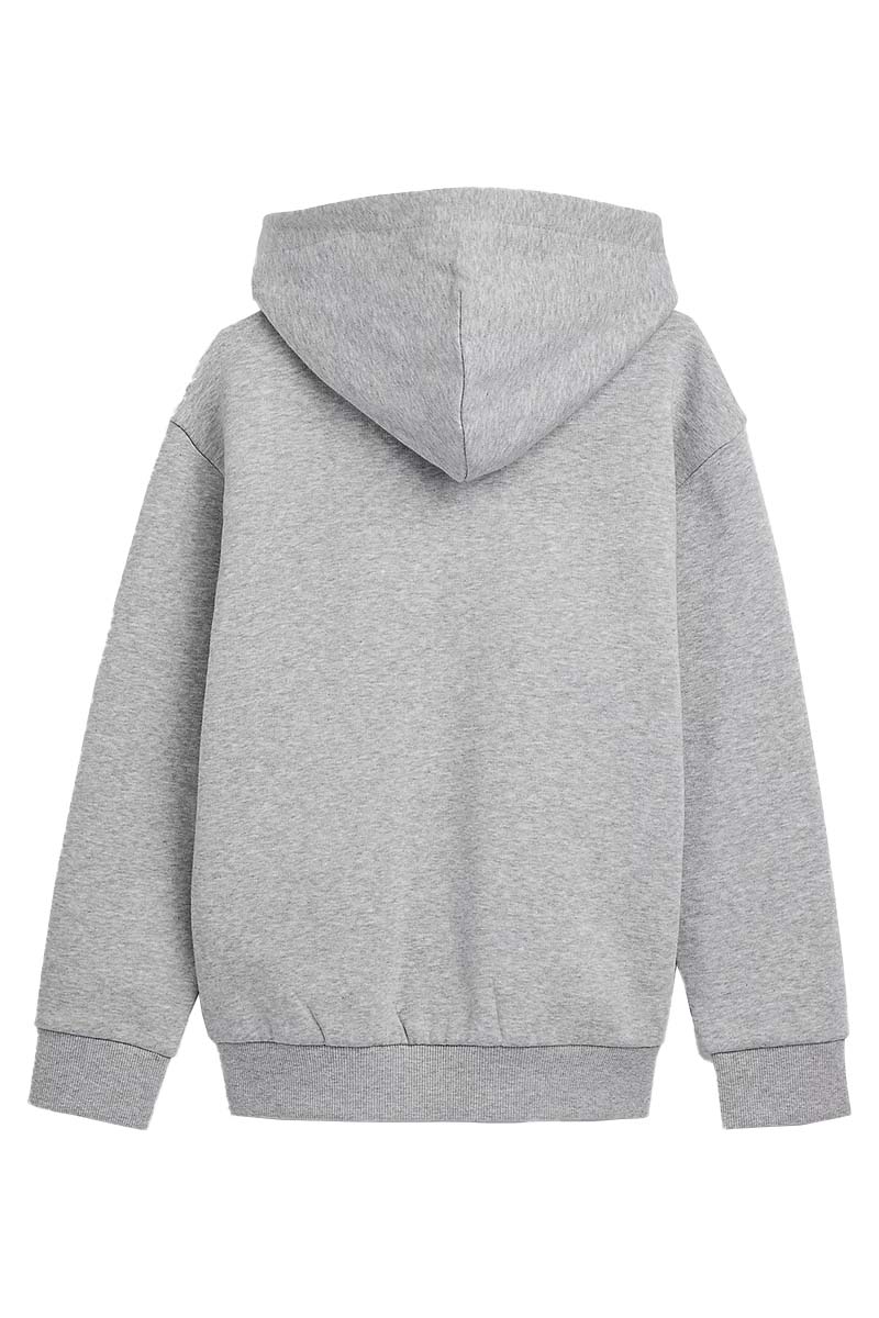 Megalopolis Glad T Tommy Hilfiger Tommy towelling patch hoodie Grijs-1 Voorwinden