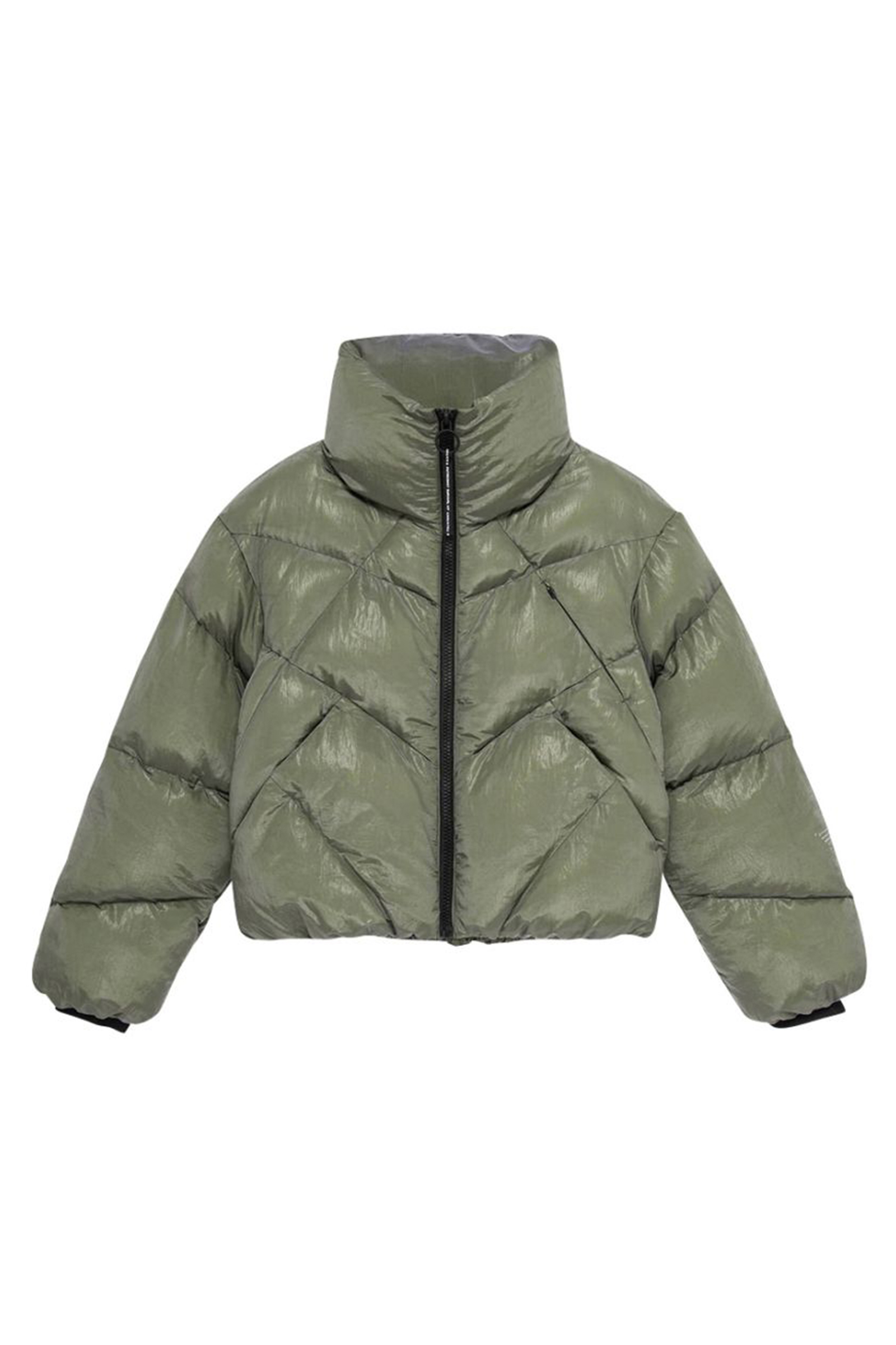 Dames jas groen