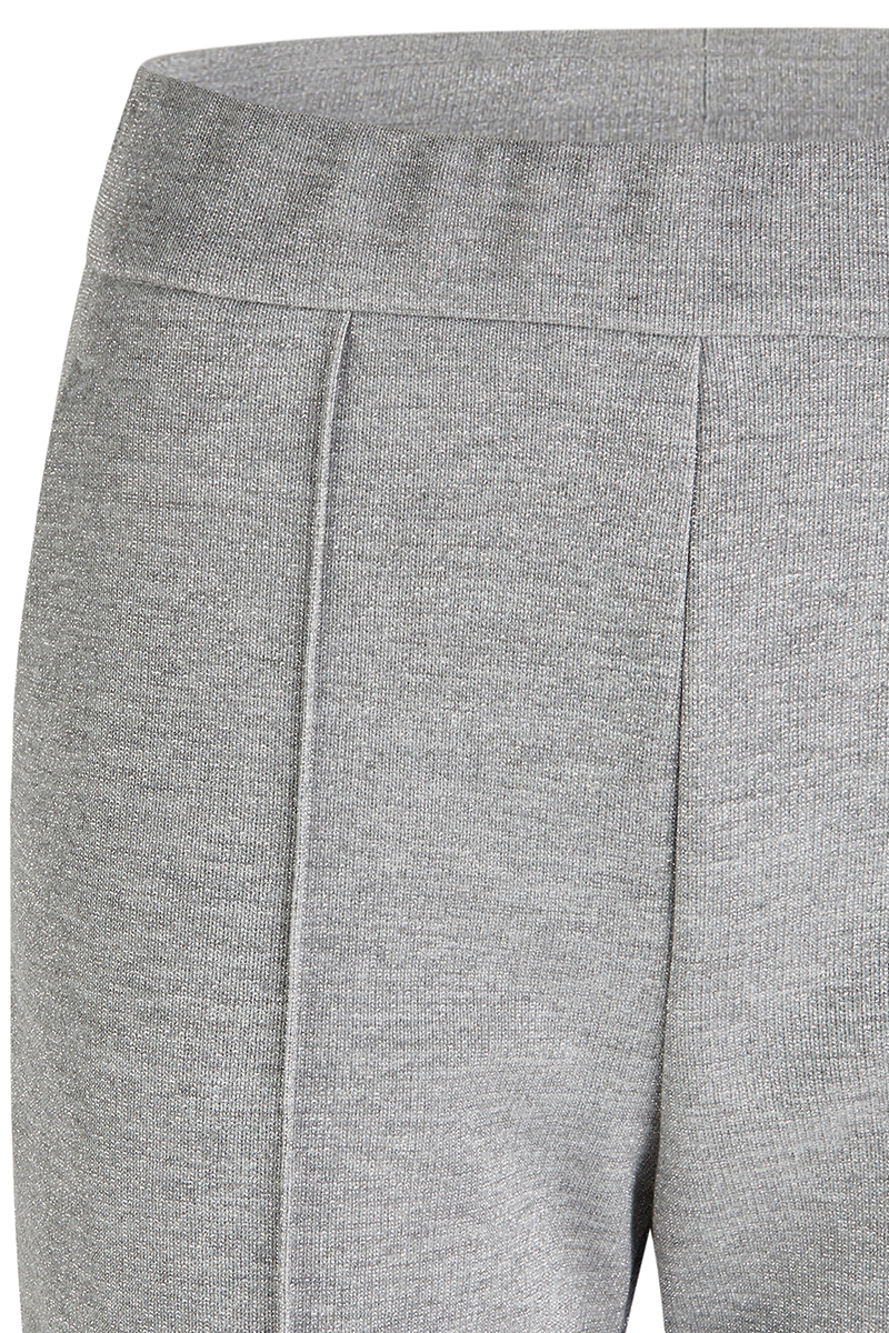 Dames broek grijs