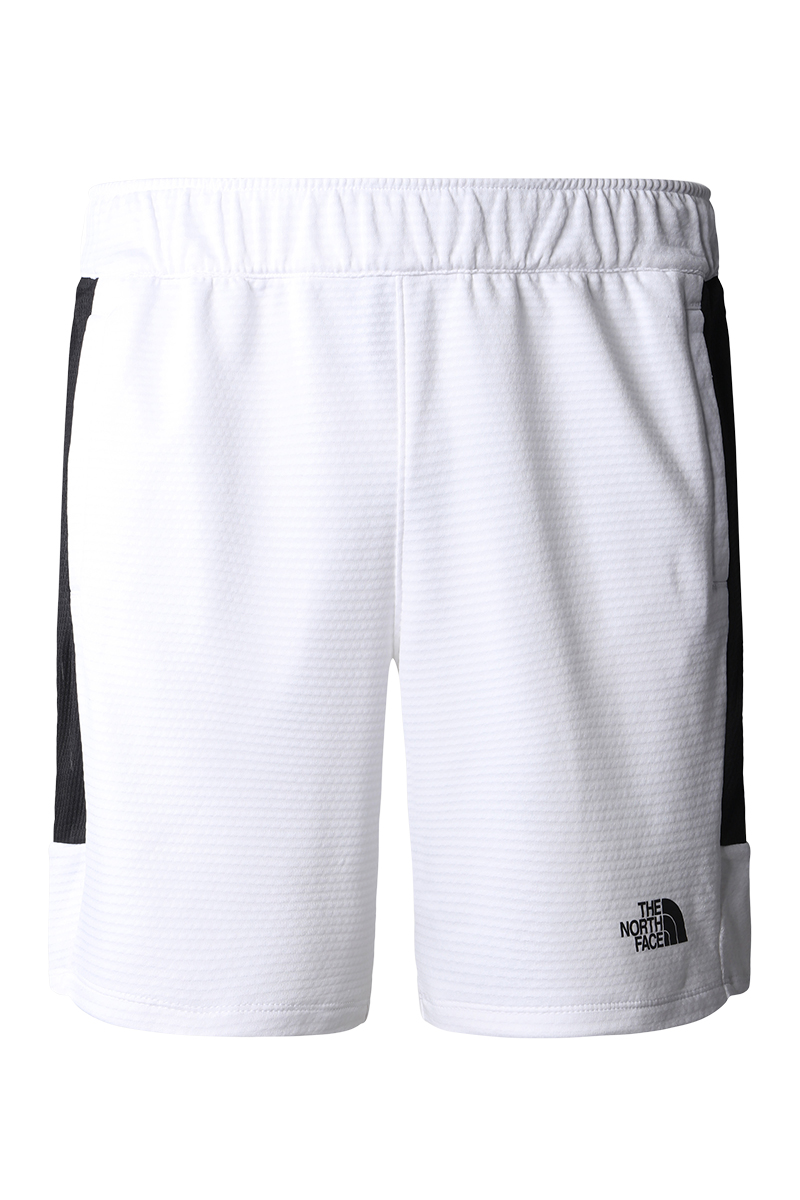 The North Face MEN'S MA FLEECE SHORT Wit-1 1