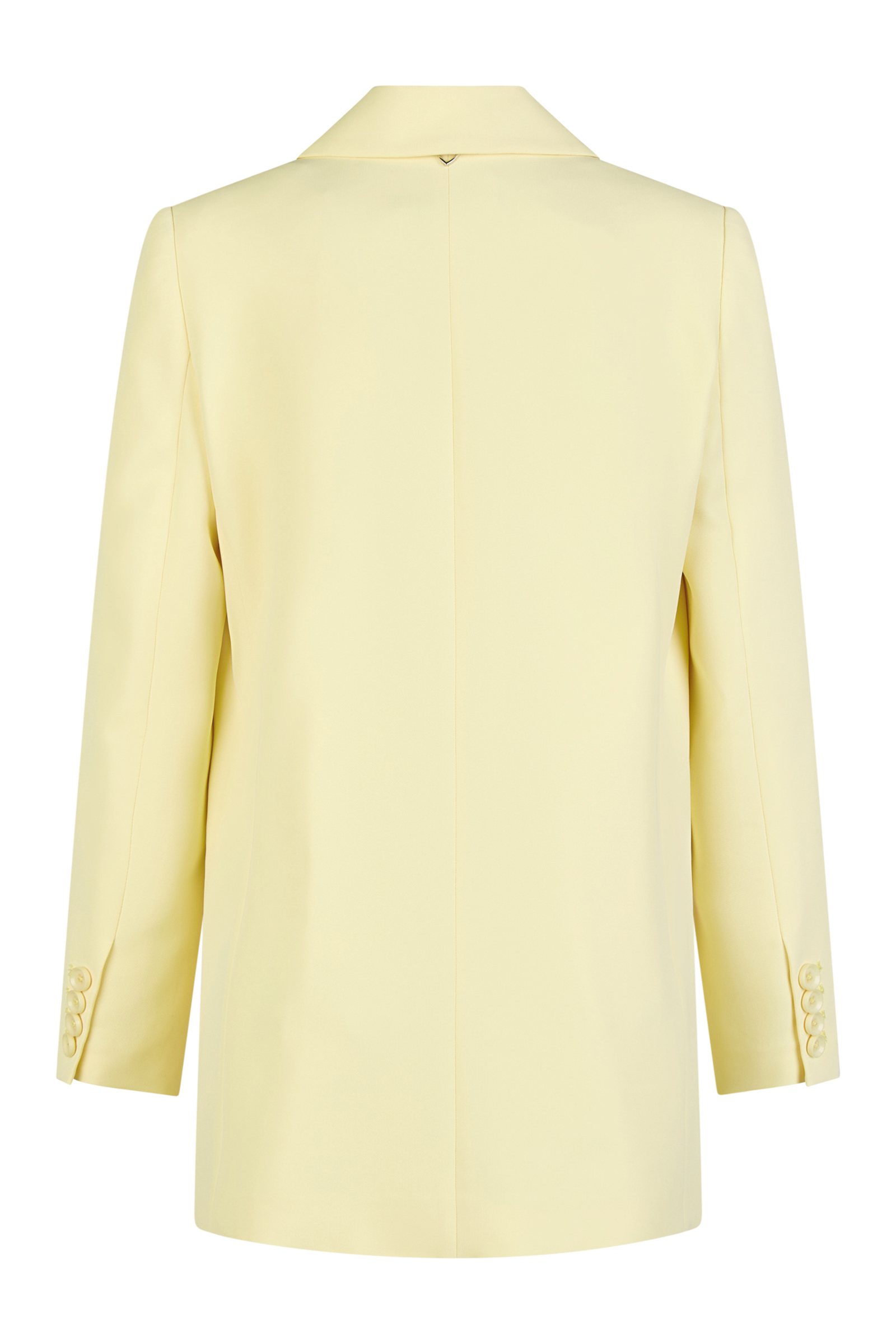 Dames blazer diversen