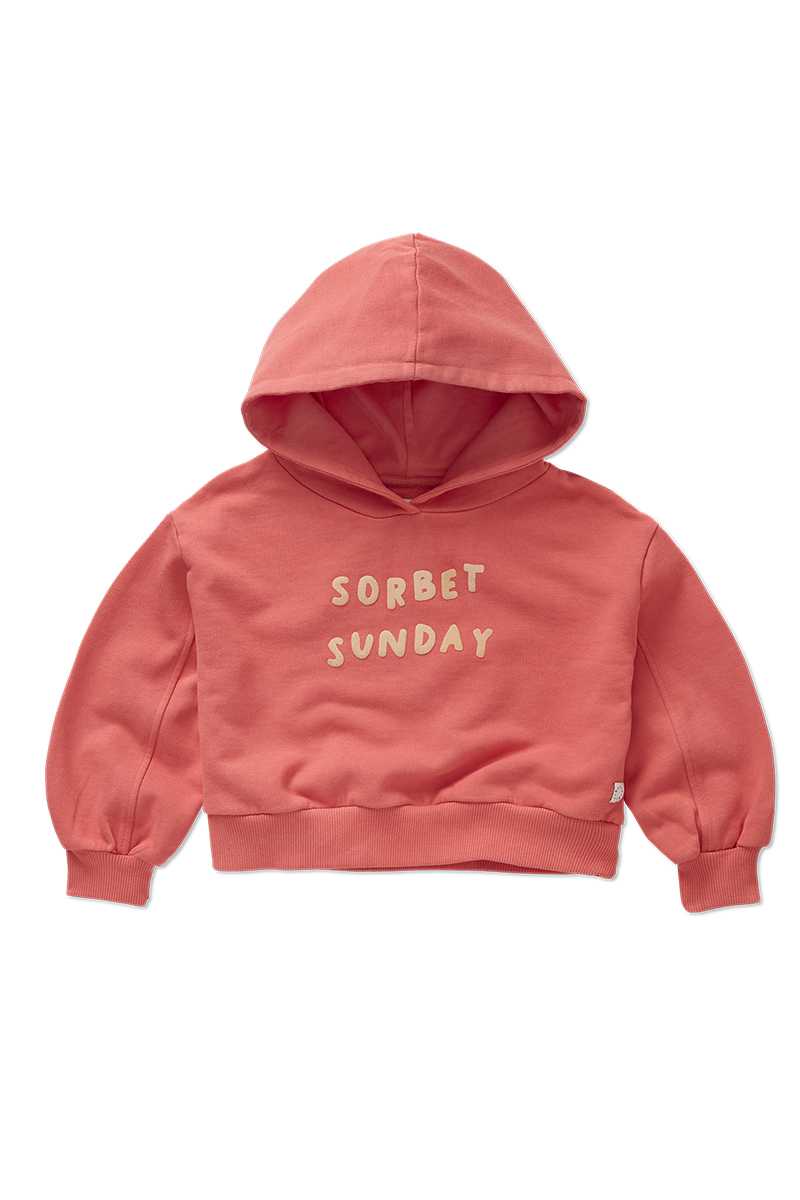 Sproet & Sprout Cropped hooded sweatshirt Rose-1 1