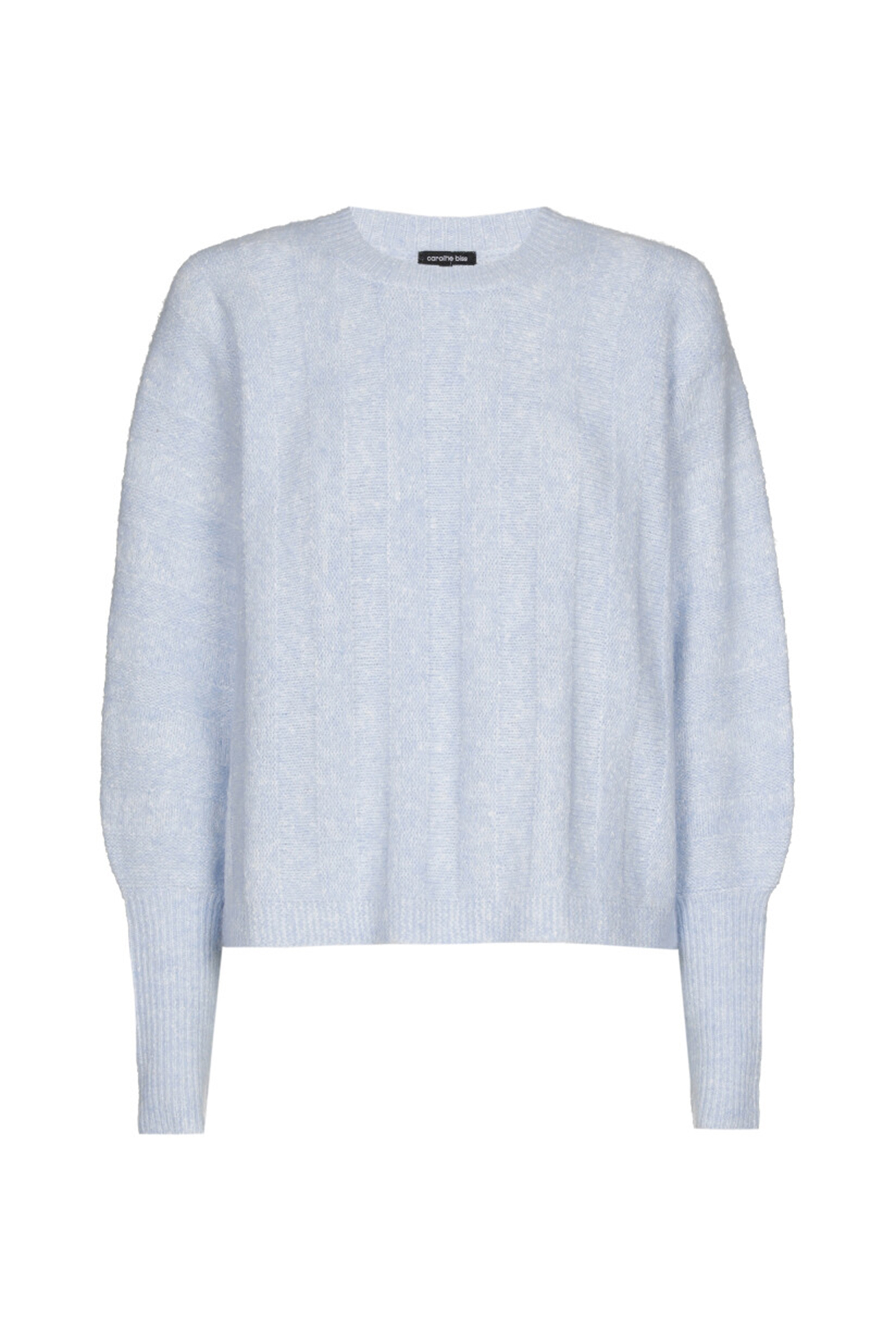 Dames trui blauw