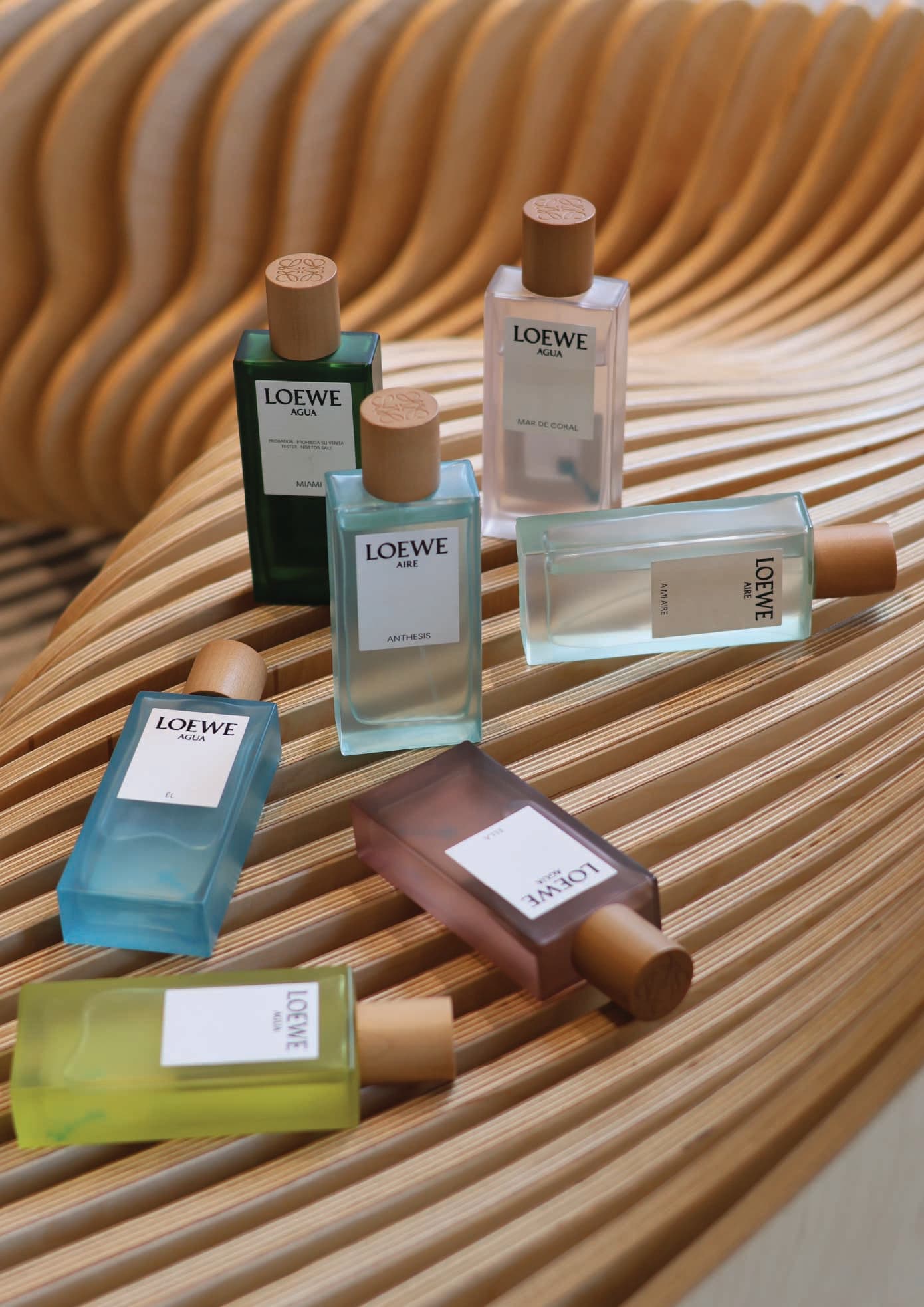 Loewe parfums