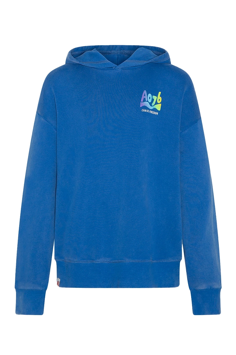 AO76 Arthur Blauw-1 1