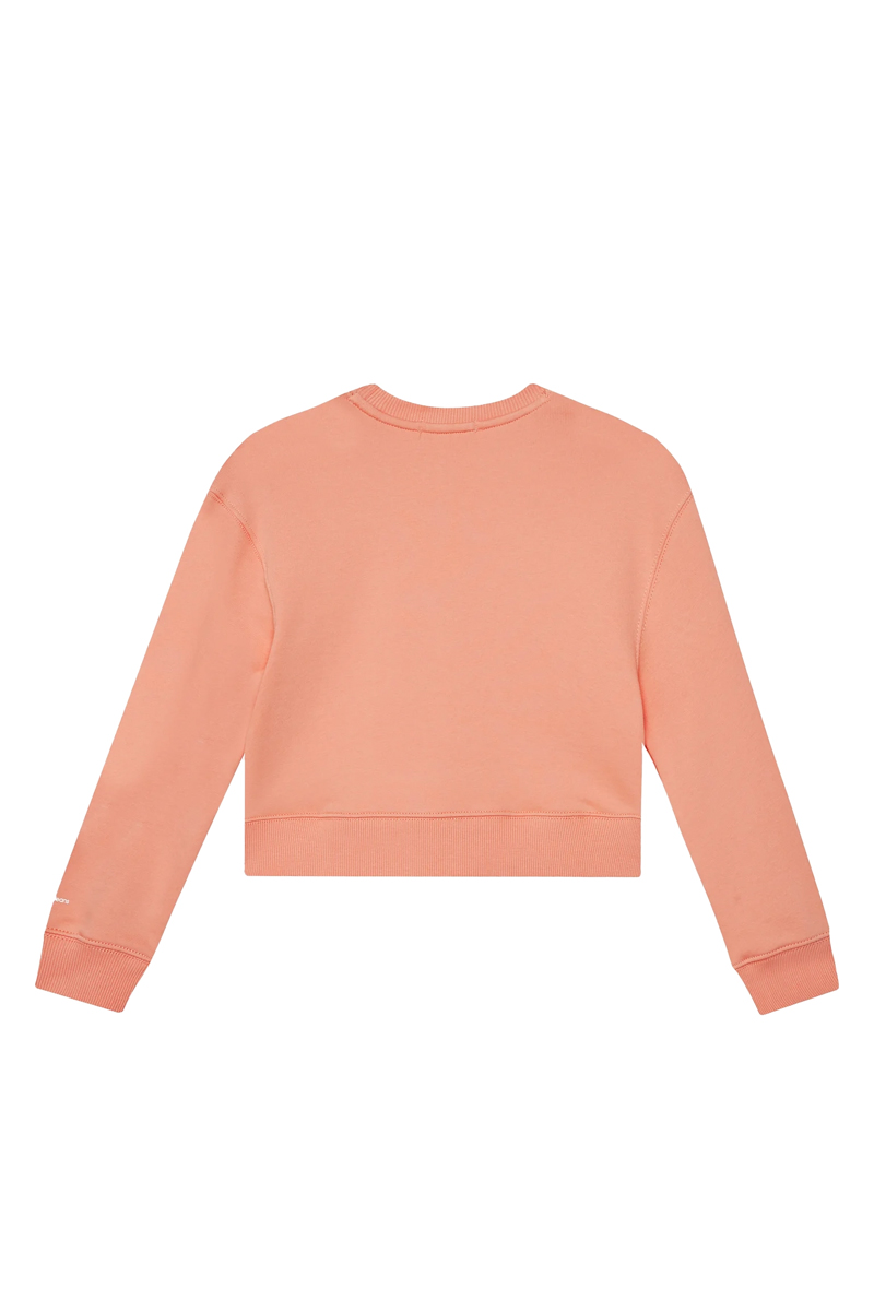 Calvin Klein Ck logo cn sweatshirt Oranje-1 3